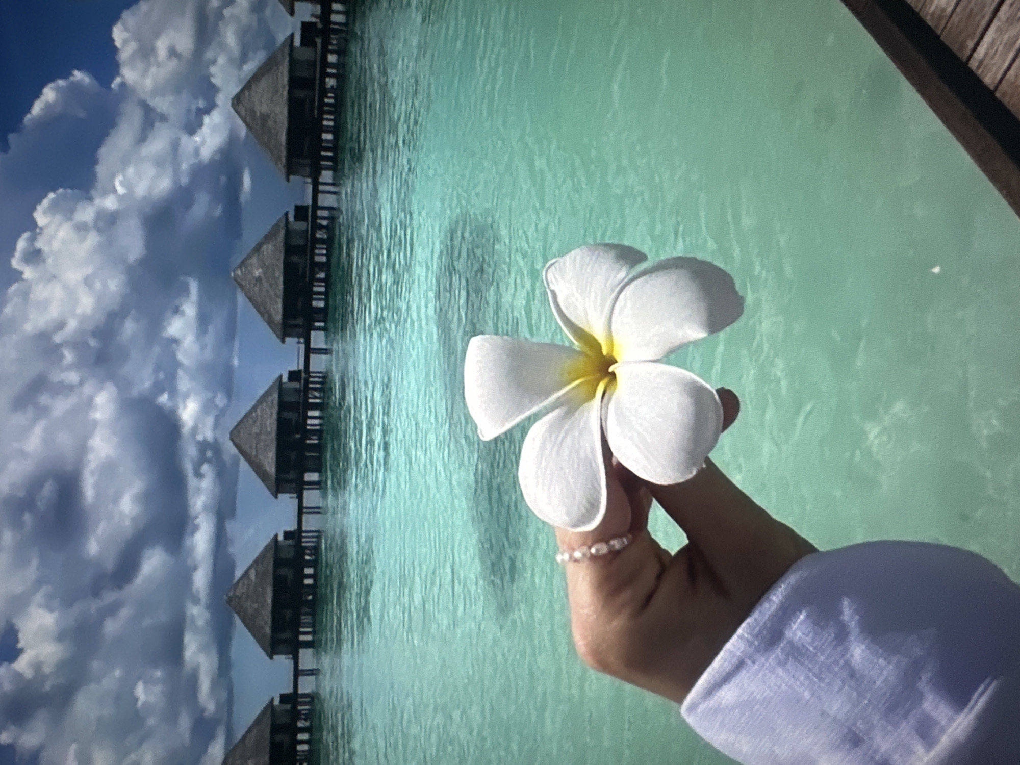 A close-up of a person's hand holding a white plumeria flower against a backdrop of turquoise water and overwater bungalows. The hand is adorned with a beaded ring. In the background, several thatched-roof bungalows stand on stilts over the clear water, connected by wooden walkways. The sky is filled with dramatic, cloudy formations. The scene suggests a tropical resort location.