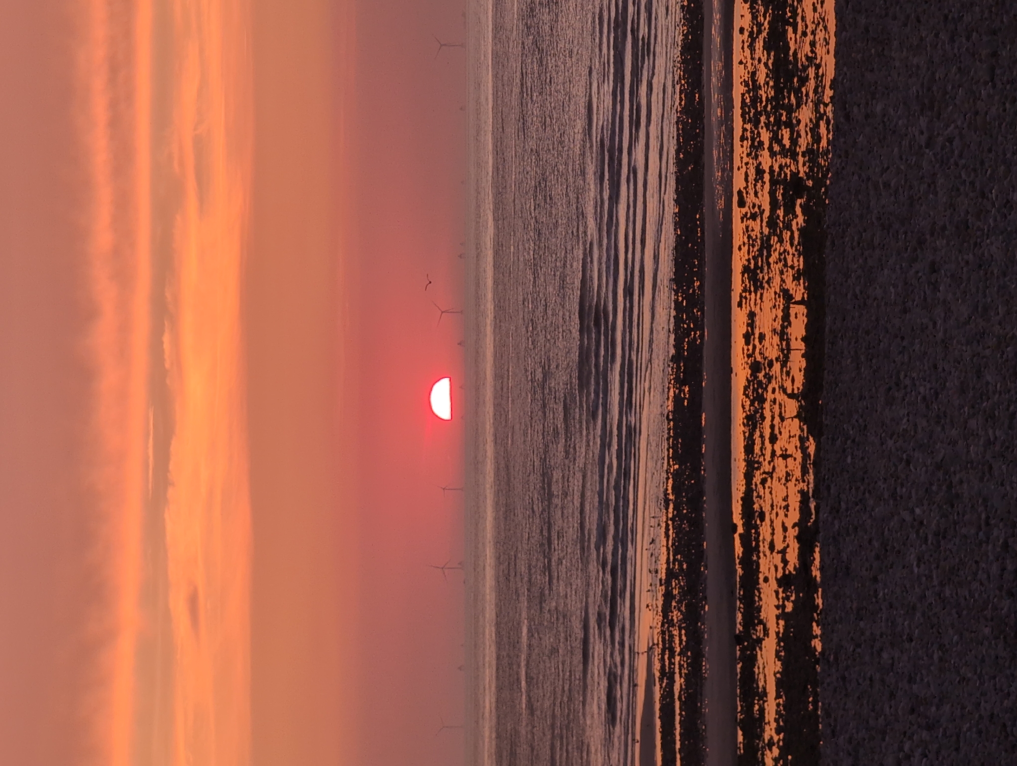 This is a vertical, eye-level, medium shot of a sunset over the ocean, viewed from a beach in Le Tréport, France. The sky is a gradient of warm orange and pink hues, with visible clouds streaking across the upper portion of the frame. The sun, a vibrant red disc, is partially set on the horizon, casting a warm glow on the scene. In the distance, a series of wind turbines are visible on the water, suggesting an offshore wind farm. The sea is calm, with gentle waves rippling towards the shore. The beach in the foreground is a mix of pebbles and wet sand, with shallow pools of water reflecting the sunset's colors. A flock of birds is scattered across the wet sand and in the shallow water. The overall atmosphere is serene and picturesque, capturing the beauty of a coastal sunset.