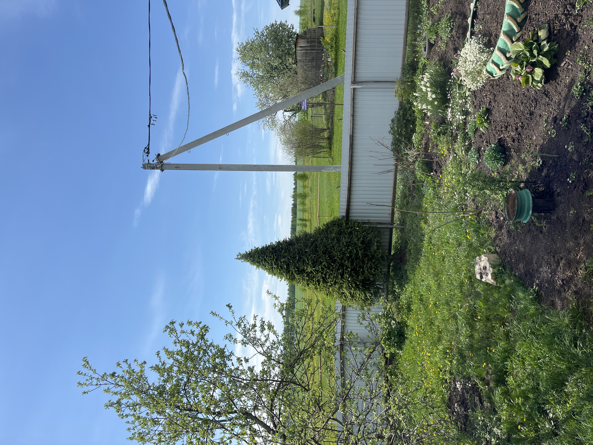 The image depicts a rural scene in Старый Сусадыбаш, Russia. A utility pole with power lines stands prominently against a blue sky with scattered clouds. A white metal fence separates the foreground from a field beyond. In the foreground, there's a garden with flowers and a small coniferous tree. A deciduous tree with green leaves is also visible. The grass is green and mixed with yellow dandelions.