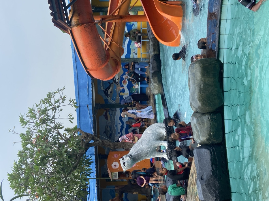 The image shows a waterpark in Kecamatan Tanggulangin, Indonesia, located at coordinates -7.497 latitude, 112.684 longitude. The park features a large swimming pool with a bright blue tiled surface. There is a tall orange waterslide to the right of the pool, which is constructed of metal and plastic, leading down into the pool. There are several people in the water, as well as a few seated on rocks surrounding the pool. There are some people standing around the edge of the pool as well. The pool is partially enclosed by a low wall and surrounded by large rocks. The park is decorated with painted murals on the surrounding building walls featuring sea creatures and underwater scenes. Several trees and lush vegetation provide shade over the park. A white polar bear statue stands on a platform between the pool and the wall, facing the pool. The image was taken during the day. There is a clear sky in the background. The image is slightly blurred, but it is clear enough to identify the location.