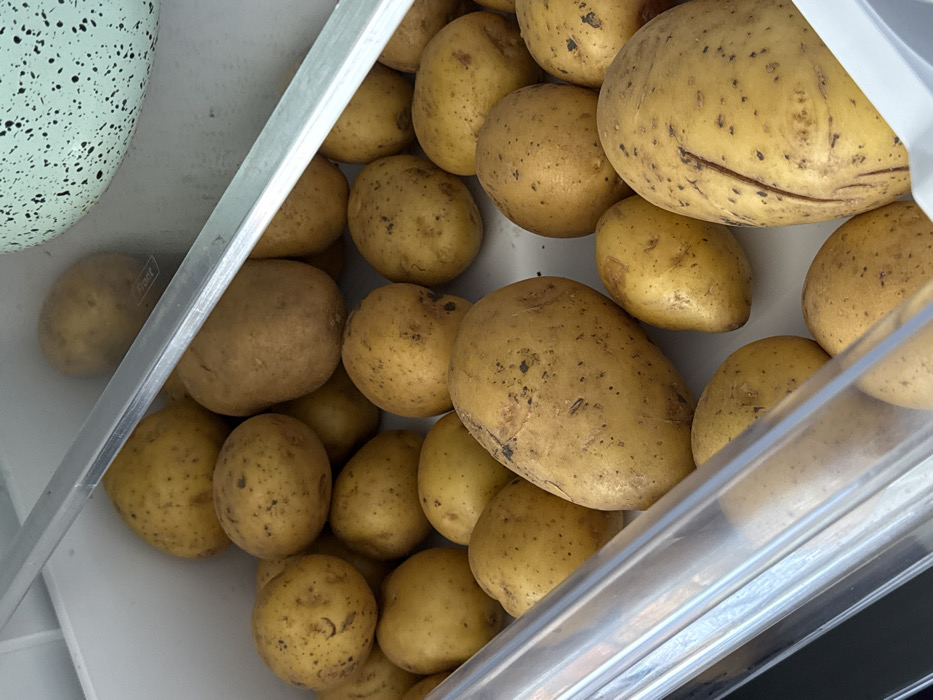 This image depicts an elevated view of numerous unwashed potatoes stored within a white, possibly plastic, drawer or compartment. The potatoes vary in size, exhibiting light brown to yellowish skin with visible specks of dirt and some minor blemishes. A translucent plastic divider or shelf is present horizontally across the upper middle of the frame, with a metallic-looking edge. In the upper right corner, a portion of a light green bowl with dark speckles is visible. The scene suggests a storage context, likely within a refrigerator or pantry drawer. No people are visible. This location is within a residence or commercial kitchen in the city of Unknown, Unknown.