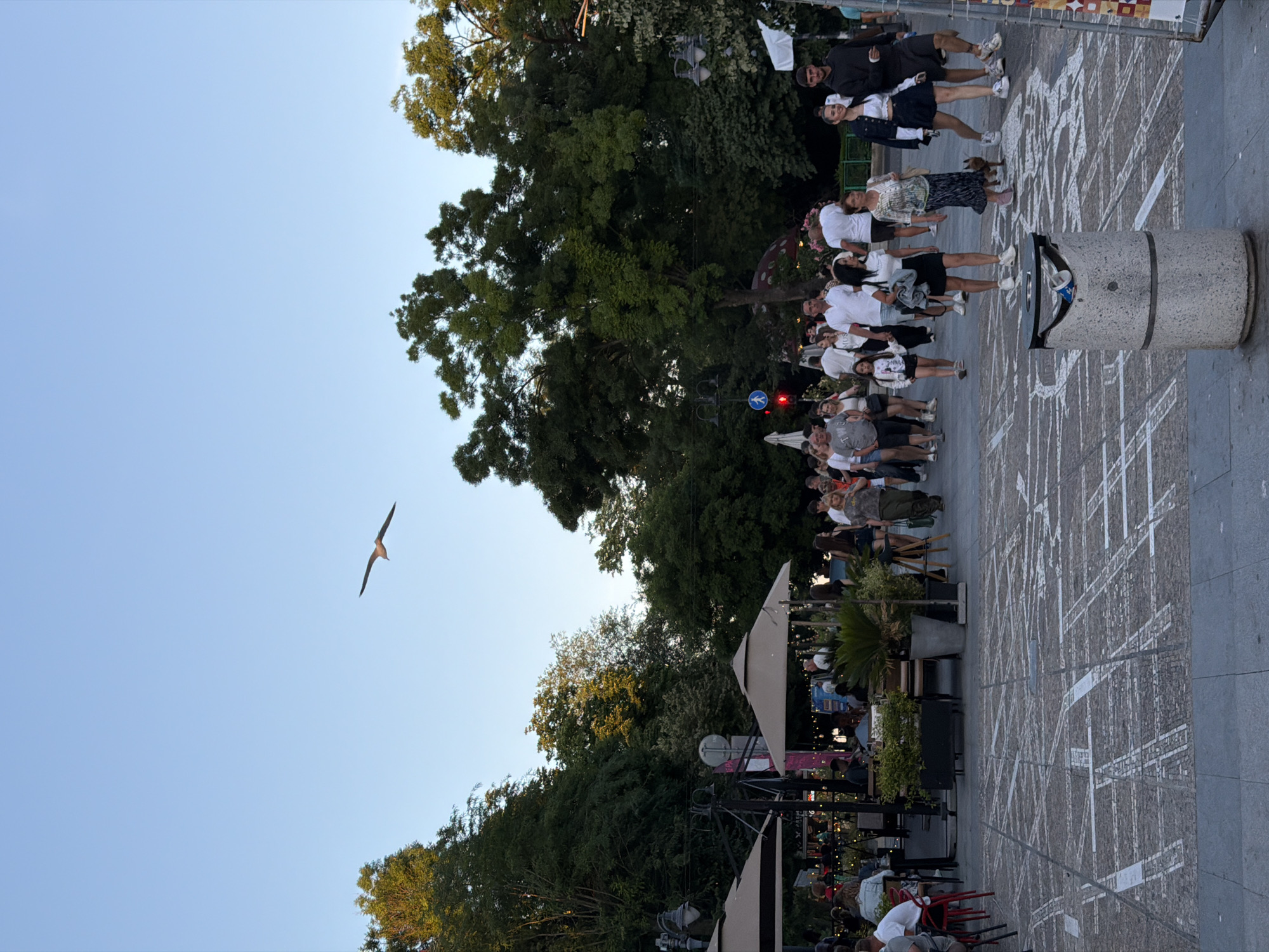 The image captures a lively outdoor scene, likely in the city of Burgas, Bulgaria, during what appears to be late afternoon or early evening. The setting is a pedestrian area with paved ground featuring a white, abstract line pattern. Several people are walking and socializing, dressed in casual summer attire. Some individuals are seated at tables under large umbrellas, suggesting an outdoor dining or café area to the left.
A notable element in the sky is a bird in flight, with its wings outstretched, positioned in the upper center of the frame. Dominating the background are lush, green trees, indicating a park or a tree-lined boulevard. The sky is a clear, pale blue, characteristic of a fair-weather day.
In the mid-ground, a traffic light is visible, showing a red signal for pedestrians, and a group of people are waiting to cross. Further to the right, a small dog is being walked. In the foreground, a cylindrical, stone-like trash bin stands prominently. The overall atmosphere is one of urban activity and leisure.