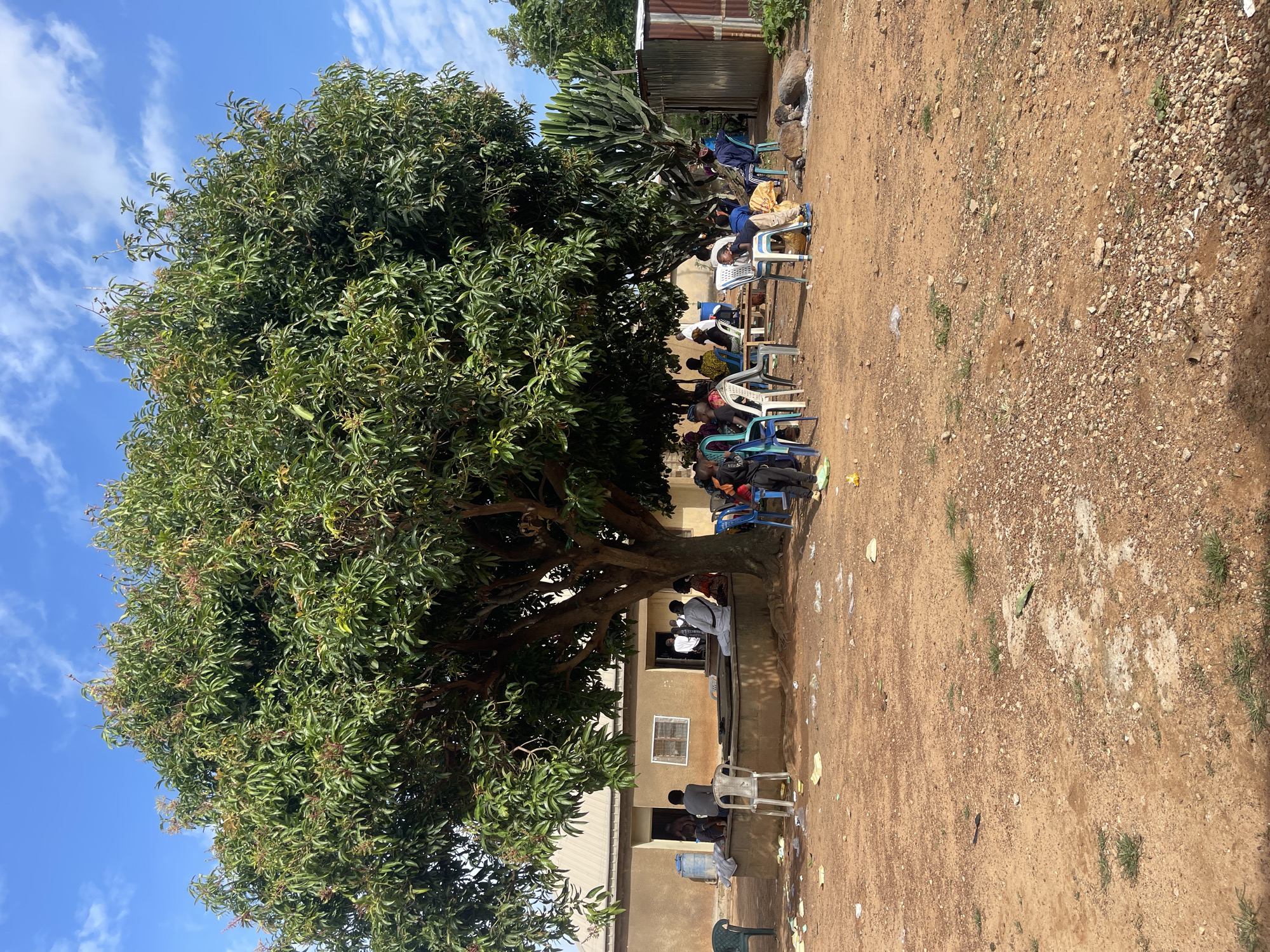 The image depicts an outdoor gathering of people seated on chairs under a large tree in a dusty, open area in Mangu Town, Nigeria. Several individuals, including men, women, and children, are visible, some engaged in conversation and others appearing to be listening or observing. The setting includes a building with a corrugated metal roof in the background, a concrete structure resembling a well or raised platform, and a large, leafy tree providing shade. The ground is covered in reddish-brown dirt with scattered debris, including paper and plastic waste. A tall, columnar cactus-like plant and a corrugated metal structure are also present. The sky is blue with scattered white clouds.