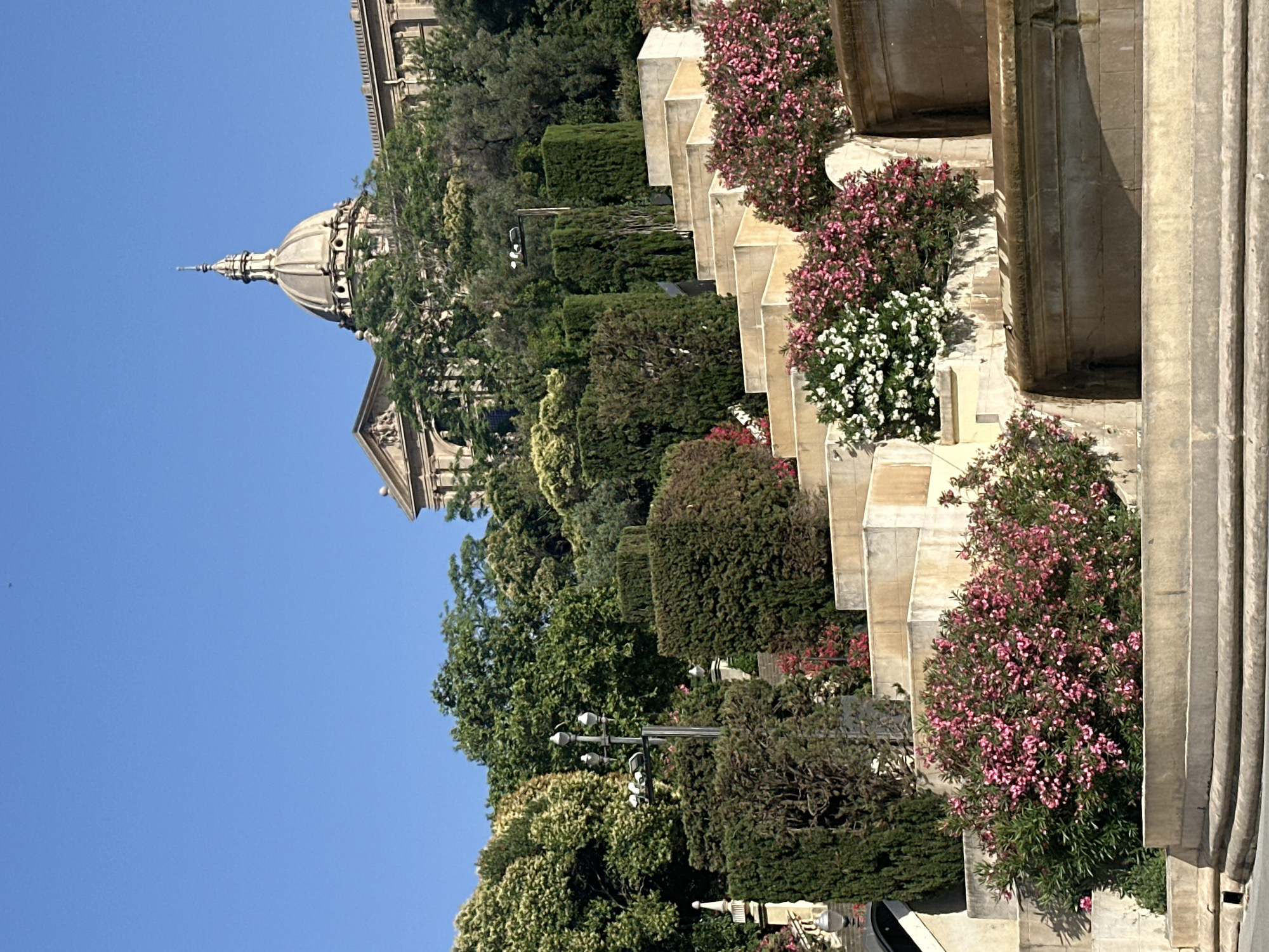 This is a medium shot of the Palau Nacional building in Barcelona, Spain, seen from below. The building is situated atop a hill and features a large dome and classical architecture. In the foreground, a terraced garden with several tiers of stone staircases is visible. The stairs are adorned with lush green foliage and vibrant pink and white flowering bushes. A lamppost with multiple lights stands prominently on one of the terraces. The sky is a clear, bright blue. The scene is bathed in sunlight, casting shadows and highlighting the textures of the stone and plants. There are no people or animals present in the image. The overall impression is one of a grand architectural landmark set within a well-maintained garden.