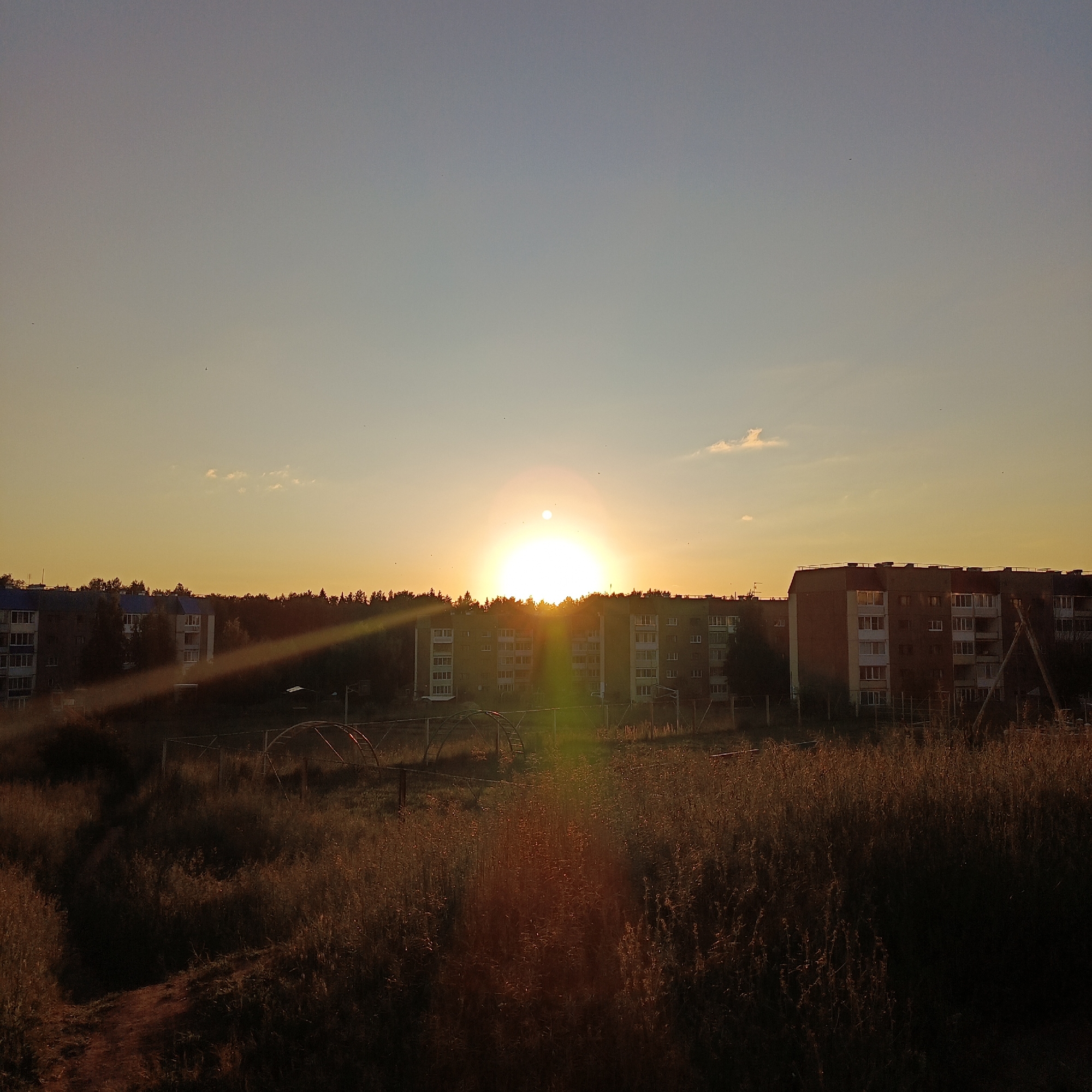 The image depicts a sunset over the city of Markovskii, Russia. The sun is a bright orb near the horizon, casting a warm, golden light across the scene. In the foreground, tall, dry grass is illuminated by the setting sun, creating a sense of depth and texture. Beyond the grass, several apartment buildings are visible, their windows reflecting the warm light. A line of trees forms a dark silhouette against the horizon, separating the urban landscape from the sky. The sky itself is a gradient of colors, transitioning from a pale blue at the top to a warm yellow and orange near the horizon. A sunbeam, or lens flare, cuts diagonally across the image from the right side, adding a dramatic effect. Several small, dark specks, likely birds, are scattered across the sky. The overall impression is one of a peaceful, rural evening.