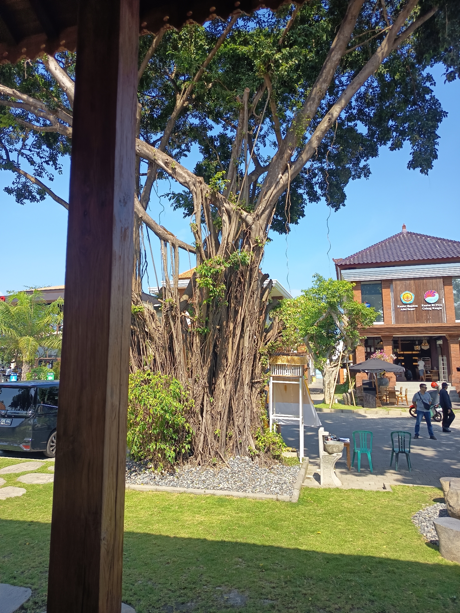 The image shows an outdoor scene in front of a building with a traditional Balinese-style tiled roof in Denpasar, Indonesia. A large banyan tree with prominent aerial roots dominates the center of the frame. To the right of the tree, the brick building has an open-air seating area with tables and umbrellas. Several people are visible in front of the building. One man, wearing a blue shirt and backpack, is standing and looking towards the right. Another person in a dark jacket and helmet is walking away. A third person, wearing a dark shirt and jeans, is standing near a motorcycle. In the foreground, a grassy lawn is visible, with a stone pathway and decorative rocks around the base of the banyan tree. A black SUV is parked on the left side of the image. The sky is clear and blue.