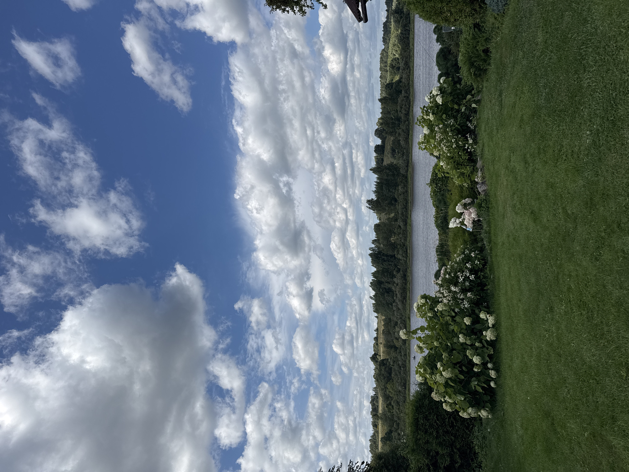 The image depicts a serene landscape overlooking a wide river in Sitno, Russia. The foreground is a lush green lawn with several bushes and flowering plants, including a large hydrangea bush laden with white blooms. In the middle ground, the river flows calmly, with a dense line of trees forming the opposite bank. Beyond the trees, rolling hills are visible under a dramatic sky filled with large, white cumulus clouds against a bright blue backdrop. A roof edge of a building is visible on the far right, suggesting a dwelling. The scene is tranquil and natural, evoking a sense of peaceful summer weather.