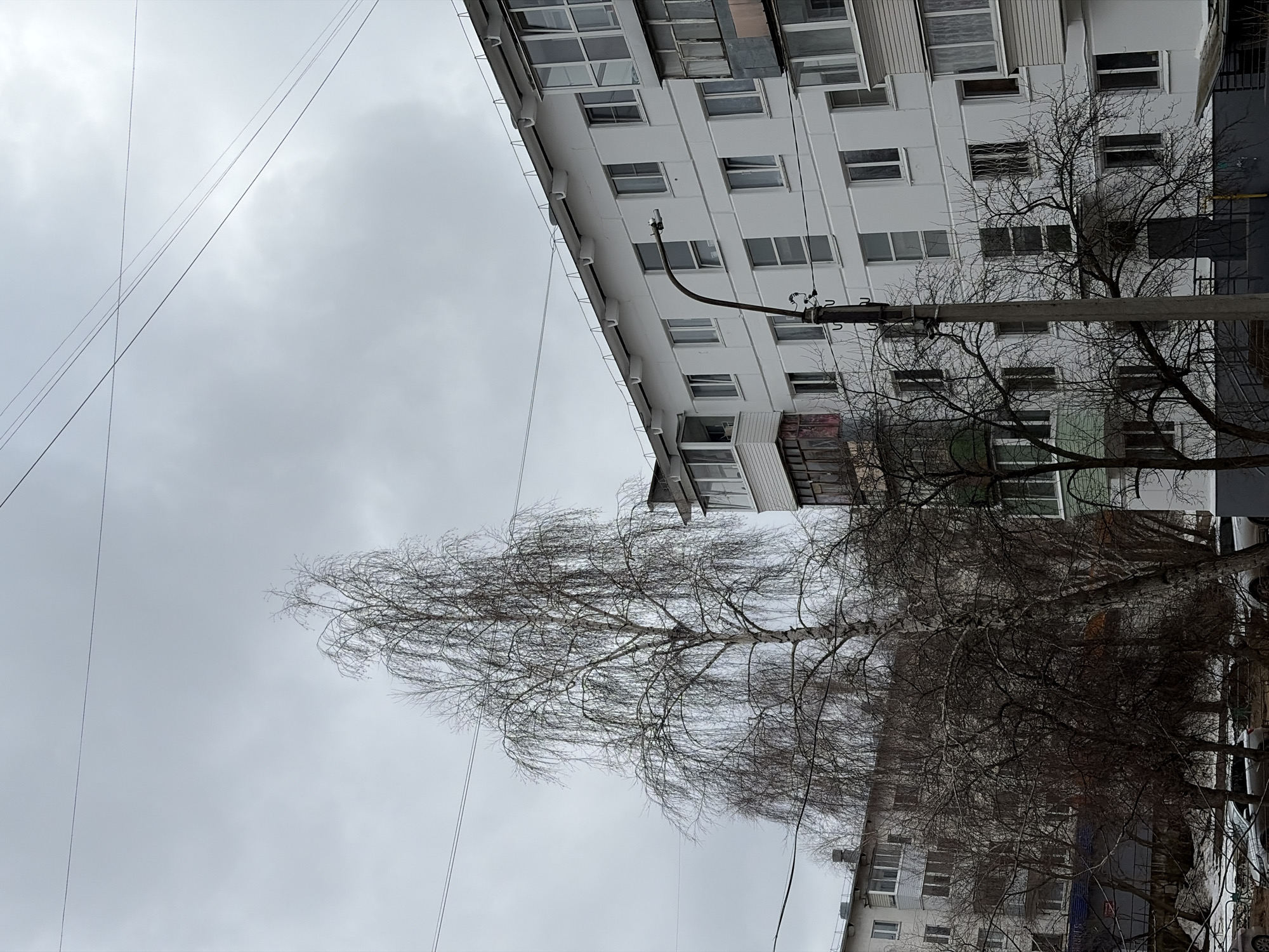 The image depicts a cloudy sky above a residential building in Chaikovsky, Russia. The building is multi-storied, painted white, and features numerous windows and balconies. Bare tree branches dominate the middle ground, obscuring portions of the building. Utility poles and wires are visible against the sky. The season appears to be late autumn or winter due to the lack of foliage on the trees.