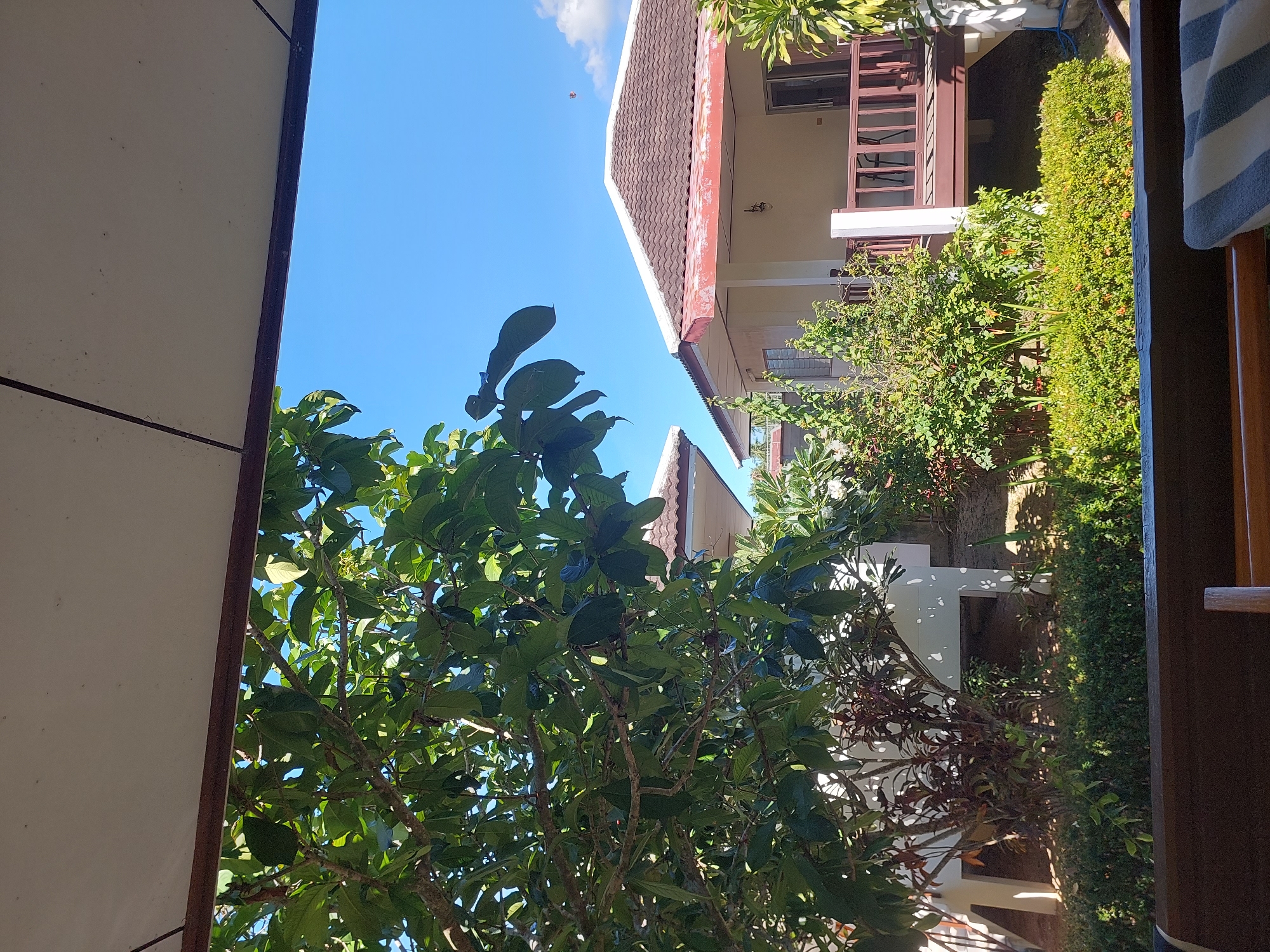 The image depicts a sunny outdoor scene with a clear blue sky above. In the foreground, a large, leafy tree with dark branches partially obscures the view of two bungalows in the background. The bungalows have light-colored walls, brown tiled roofs, and wooden verandas. Lush green bushes and smaller plants surround the bungalows. A wooden railing in the lower foreground suggests a seating area or balcony. The environment appears to be a tropical resort or residential area, likely located in Baan Mae Nam, Thailand, given the architecture and vegetation. There are no people visible in the frame.
