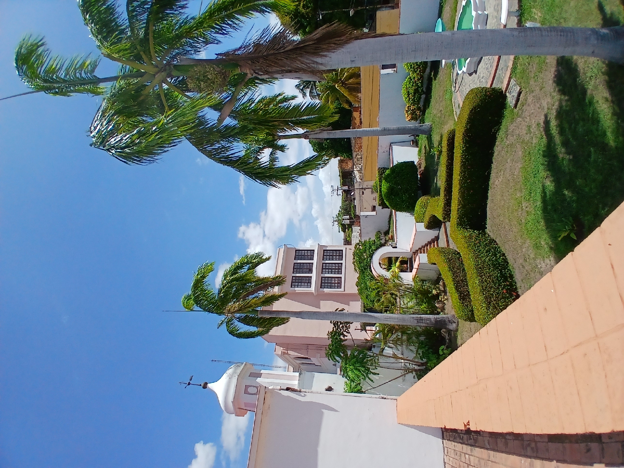 The image depicts an outdoor scene, likely in Ciudad Bolivar, Venezuela, given the architecture and vegetation. The view appears to be from a rooftop, overlooking a garden and surrounding buildings.
In the foreground, a section of the rooftop with brick and stucco is visible. A series of carefully manicured, sculpted bushes form a decorative border along the garden, which is otherwise filled with grass.
Behind the garden, there are several buildings, including a multi-story structure with numerous windows. The buildings are painted in light pastel colors.
Tall palm trees are prominent throughout the scene, extending up into a bright blue sky with scattered clouds. The scene is brightly lit, suggesting it is daytime.