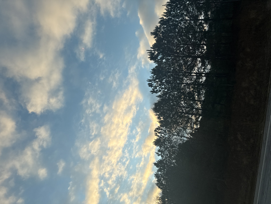 The image depicts an outdoor landscape scene within Lawrenceville, United States. The upper two-thirds of the frame consists of a partly cloudy sky, featuring patches of clear blue interspersed with white, grey, and horizontally elongated yellowish-orange clouds, suggesting either sunrise or sunset. A faint, reddish-orange crescent shape, possibly the moon or another celestial body, is visible in the upper right quadrant of the sky. The lower third of the image is dominated by a dark, silhouetted treeline composed primarily of coniferous trees, forming a dense horizontal band against the brighter sky. Below the treeline, a dark, vegetated slope descends towards the bottom of the frame. A dark, paved surface, likely a road or shoulder, is visible at the extreme bottom left corner, angling slightly upwards to the right. No individuals, vehicles, or specific human-made structures are discernible within the frame beyond the implied road. The lighting conditions indicate either early morning or late evening.