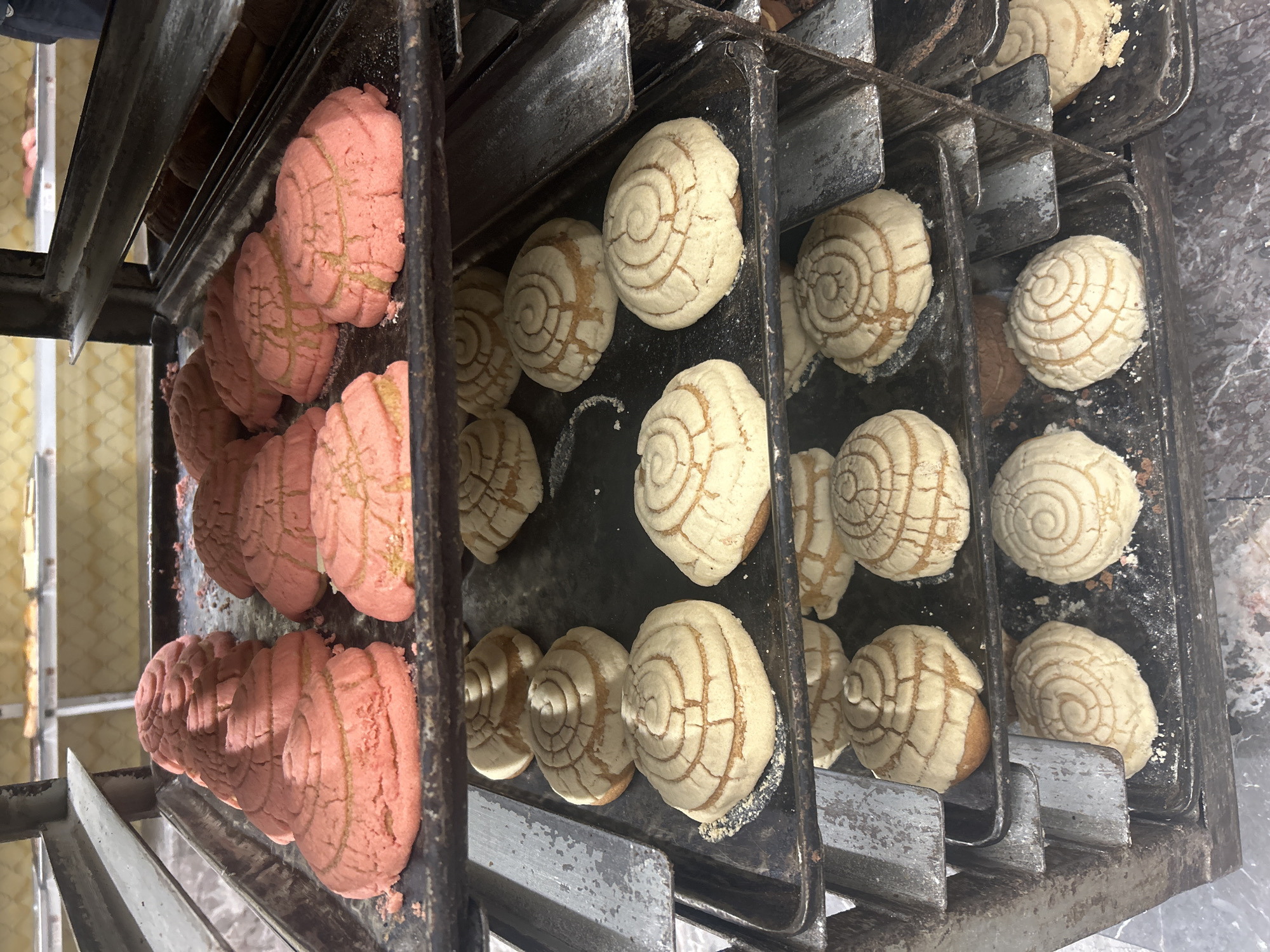 A metal baking rack filled with rows of Mexican sweet bread called conchas. On the left side of the rack, the conchas are pink, while the remaining rows are off-white or beige. The rack is likely in a bakery or kitchen in Puebla, Mexico, as conchas are a popular pastry in the region.