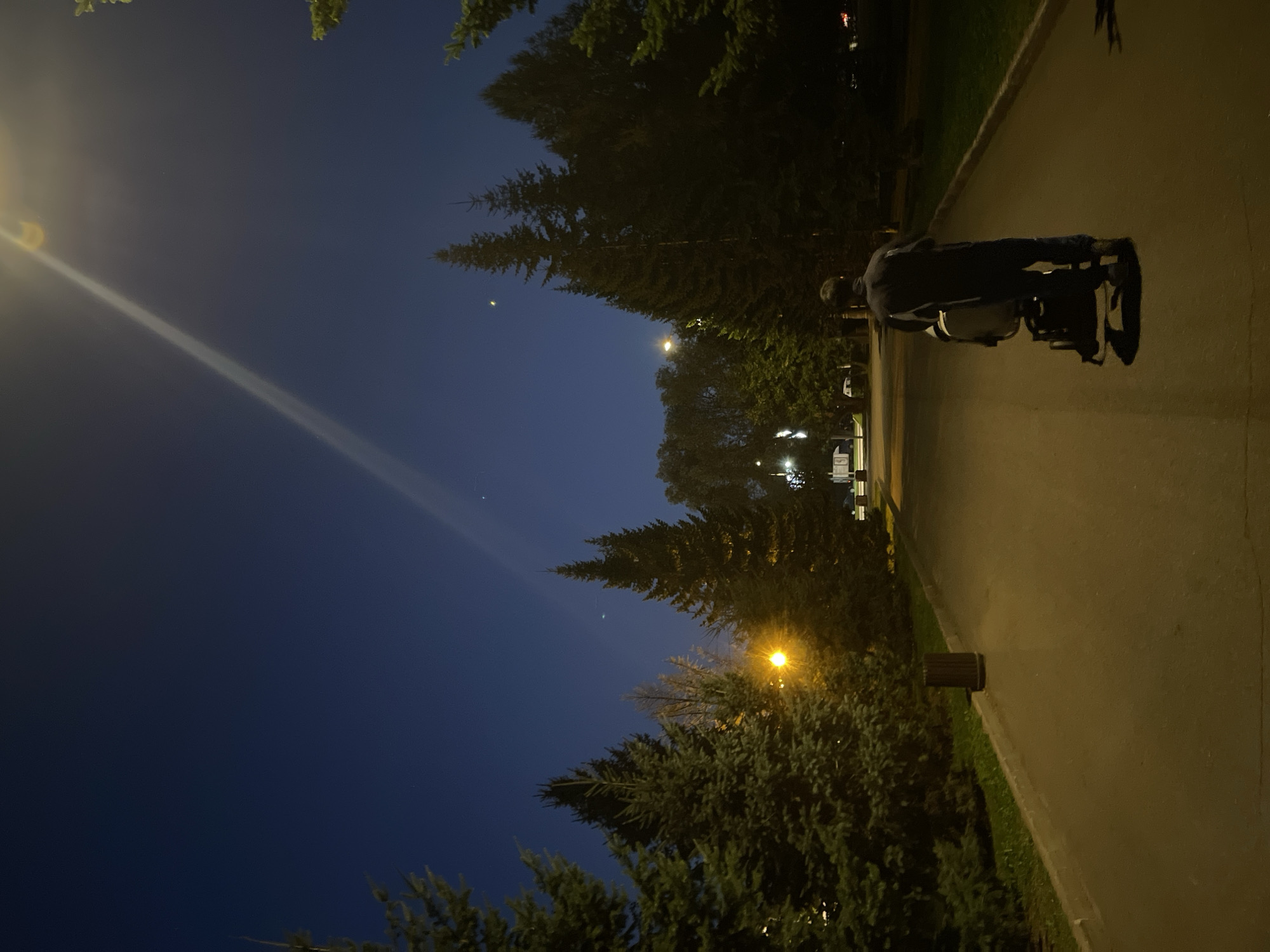 A person is pushing a stroller on a paved path at night. The path is bordered by grass and trees, with a street light visible in the background. The sky is dark blue, indicating it is nighttime. The person is wearing dark clothing and is facing away from the camera.