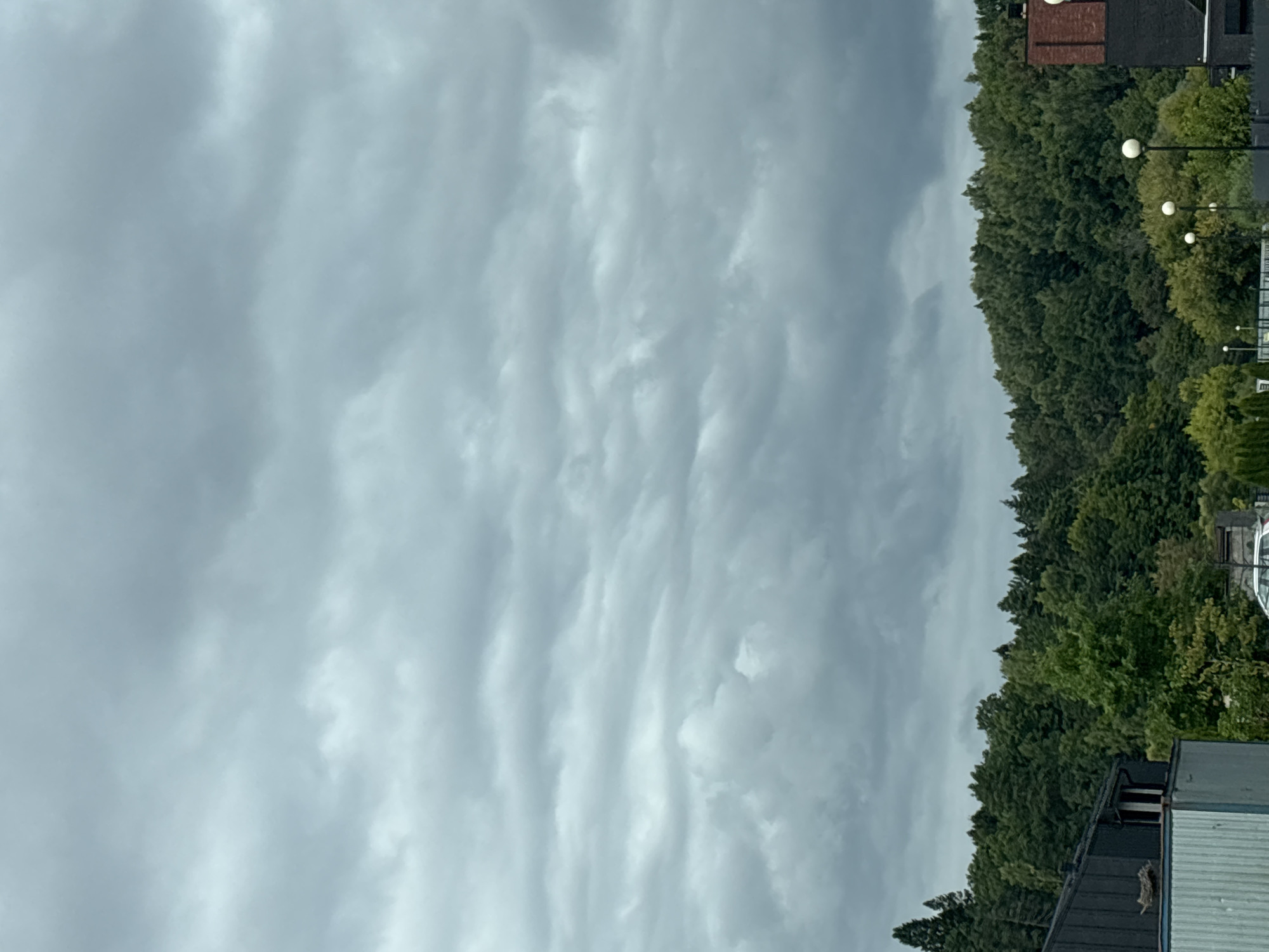 The image depicts an overcast sky with thick, gray clouds blanketing the upper portion of the frame. Below the clouds, a dense line of lush green trees forms a natural border. In the foreground, on the left side, a dark-colored building with a sloped roof is visible, and to its right, a lighter-colored structure with a corrugated metal facade. Further to the right, hints of other buildings and streetlights are present, suggesting a semi-urban or suburban environment. The overall scene conveys a somber and cloudy atmosphere.