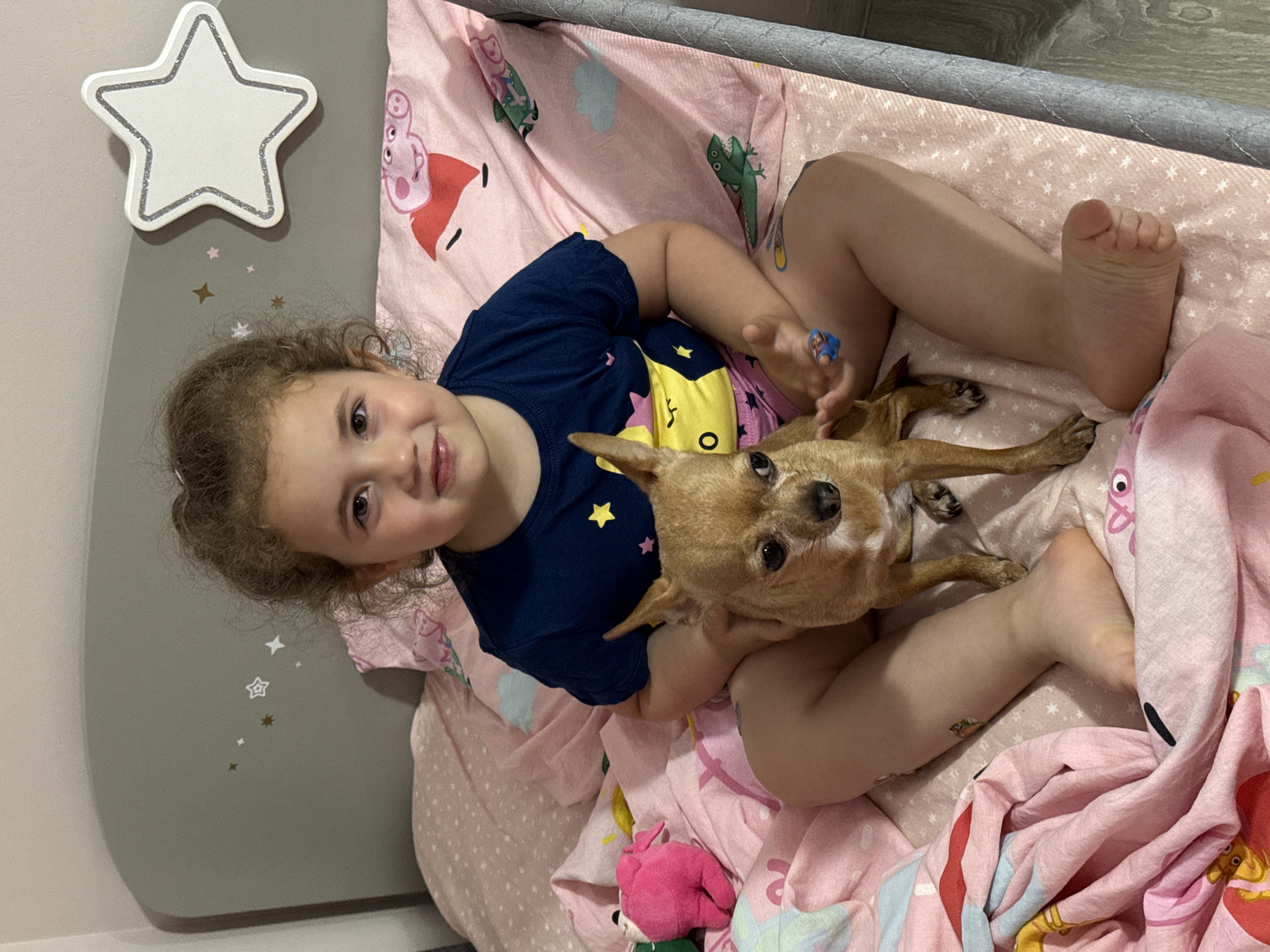A young girl with curly brown hair and brown eyes, wearing a navy blue t-shirt with yellow and pink stars, sits on a bed with her legs crossed. She is holding a small brown chihuahua dog in her lap. The bed has pink bedding with a pattern of Peppa Pig and green dinosaurs. To the left of the girl, there is a pink stuffed animal. The headboard of the bed is gray and decorated with small star decals and a large white star light fixture. The image was taken in a bedroom, likely in Burgas, Bulgaria.