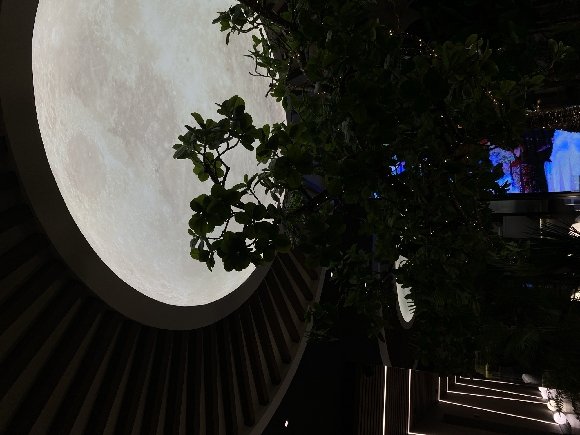 The image shows a large, illuminated circular object resembling the moon, likely an art installation or decorative feature. In the foreground is a tree with dense green foliage. The background includes architectural elements with dark, linear patterns and subtle lighting. The location in Votkinsk, Russia is not evident from the image alone.