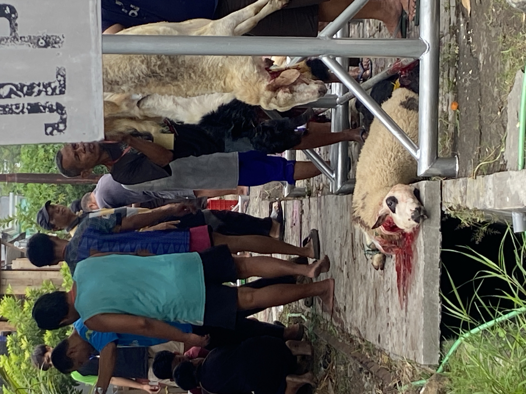 The scene appears to be the aftermath of animal slaughter in Gelam, Indonesia. Several men are standing around a metal structure, which holds the carcasses of two animals, possibly sheep or goats. One animal is hanging with its head visibly severed, blood streaming down. The other carcass is laying above. The environment consists of a concrete surface with nearby vegetation. The men are casually dressed and appear to be observing the aftermath of the slaughter.