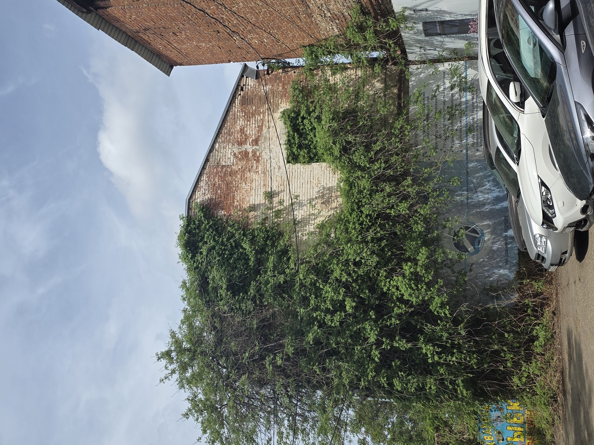 The image depicts an urban scene in Krasnodar, Russia. Two brick buildings are visible, one with a facade heavily covered with green vines. Between them is a panel with some text, a logo, and two cars parked in front. The text appears to be in Russian and includes phrases like "МЫ ПЛАНИРУЕМ БУДУЩЕЕ" ("We are planning the future") and describes planning and surveying services. The sky is partly cloudy. The photo is angled, giving a perspective looking up at the buildings.