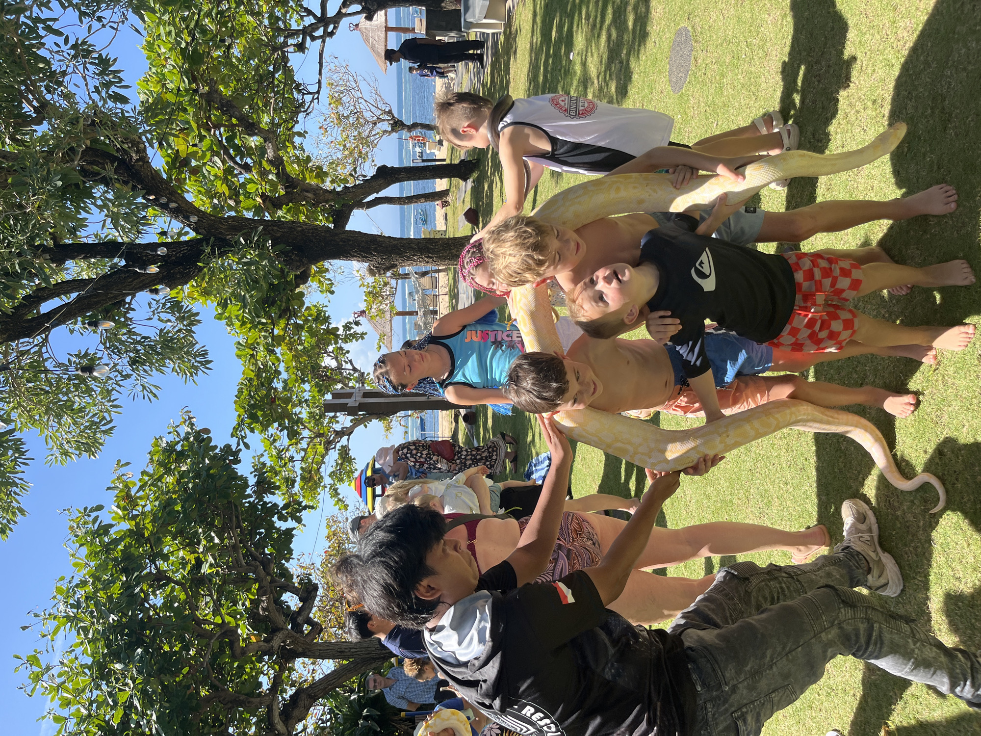 In Kuta Selatan, Indonesia, on a sunny day, a group of children and adults are gathered on a well-maintained lawn with trees and a distant view of the ocean. A large, pale yellow albino python is being held by a young man in a black shirt and jeans, who appears to be an animal handler. The python is draped around several children, who are looking at it with varying degrees of interest and apprehension. One child, wearing a black rash guard and red checkered shorts, is looking up at the snake with wide eyes. Another child, wearing a white tank top with red writing, has the snake around his neck. The handler is guiding the snake's movement and interacting with the children, ensuring their safety. In the background, other people are visible, some observing the scene and others moving about. Beach umbrellas and huts are scattered on the beach beyond the lawn, and a few boats are in the ocean. The overall scene suggests a tourist activity or educational demonstration involving exotic animals in a tropical setting.