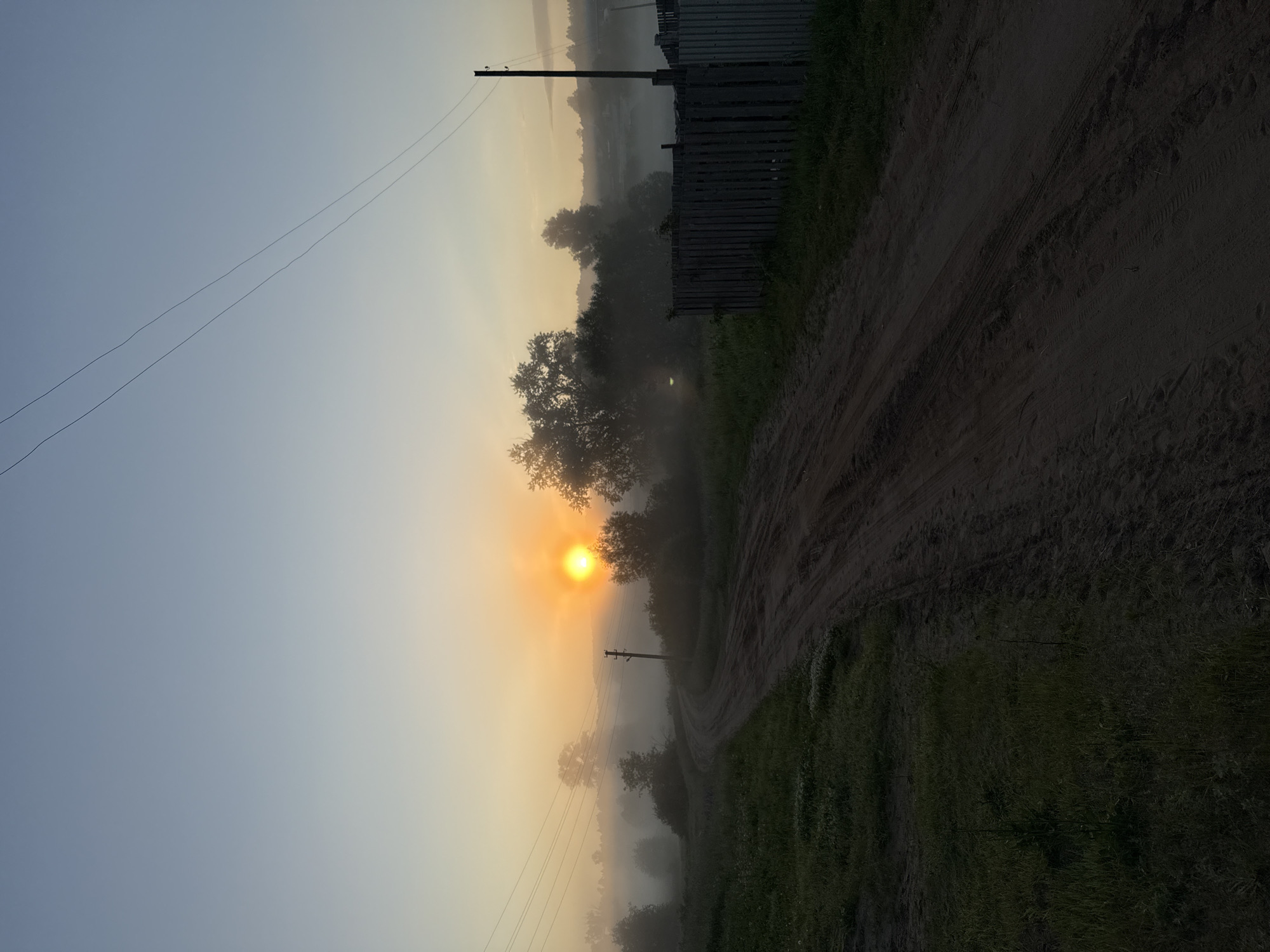 A dirt road curves through a misty rural landscape at sunrise in the city of Уральское, Russia. The sun, a bright orange orb, is partially obscured by fog, casting a warm glow across the sky. Power lines stretch across the upper portion of the image, supported by a wooden utility pole on the right side. To the right of the road, a weathered wooden fence runs along the property line, partially separating the road from a cluster of trees and low-lying buildings obscured by the fog. The road itself is marked with tire tracks, indicating recent vehicular passage. The foreground consists of overgrown grass and patches of bare earth along the edge of the road. The overall atmosphere is serene and evocative of a quiet morning in the countryside.