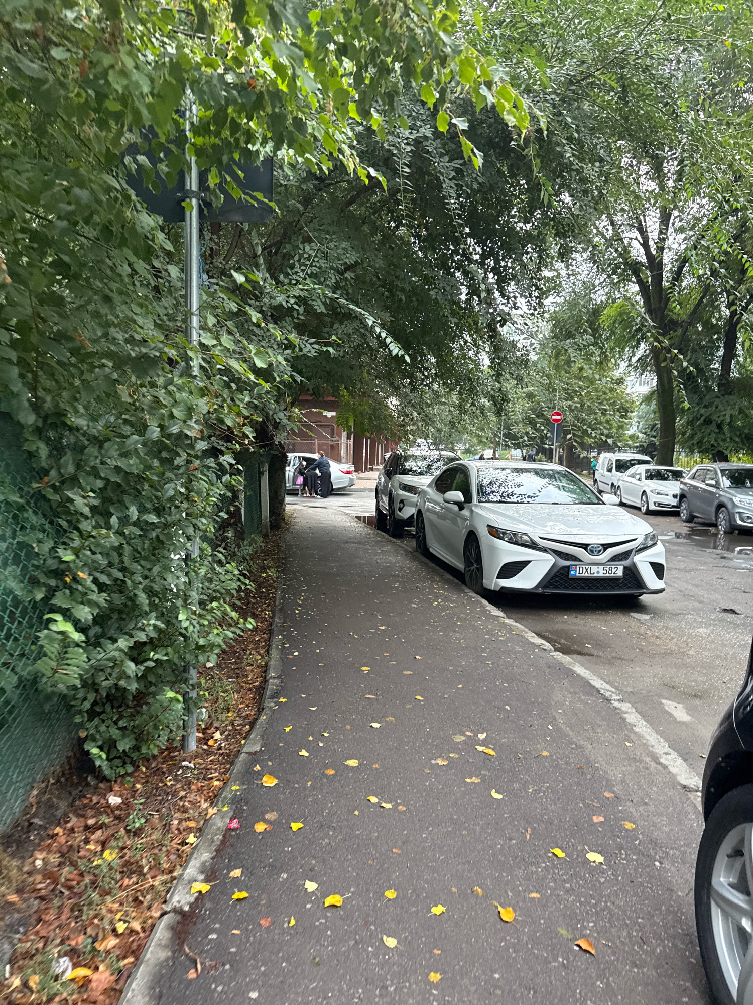 The image shows a street scene in Chișinău, Moldova. A white Toyota Camry with license plate DXL 582 is parked on the right side of the street, facing away from the viewer. The car is wet, suggesting recent rain. Several other cars are parked on the street behind the Toyota. On the left side of the street, there is a sidewalk covered with fallen yellow leaves. Beyond the sidewalk, there is a dense green hedge and a chain-link fence. Further down the street, a person is seen exiting a white car. The sky is overcast.