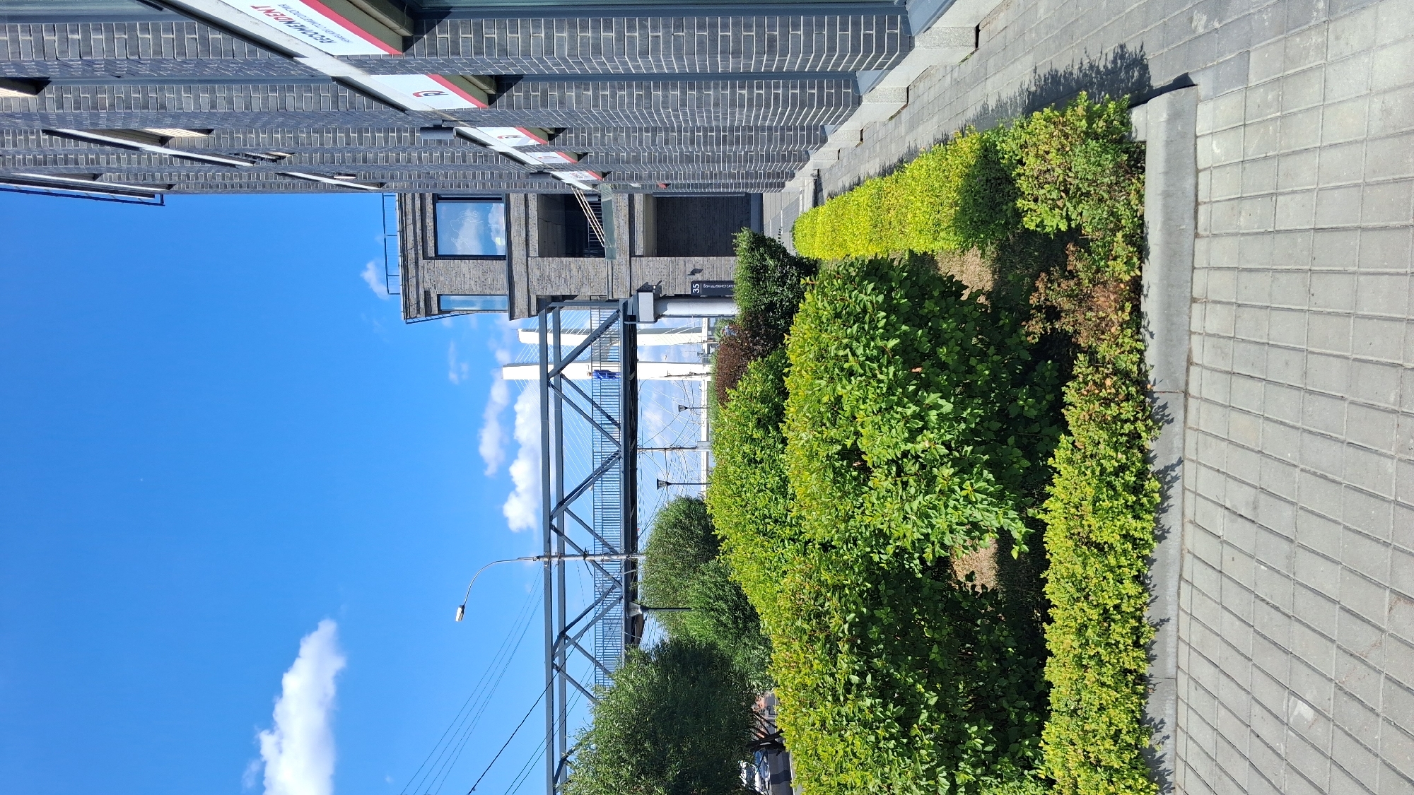 A person in a blue shirt walks across a pedestrian bridge spanning a street in Novosibirsk, Russia. The bridge is dark gray metal with a zigzag pattern. To the right, a modern building with dark gray brick and large windows is visible. A sign with red lettering is attached to the building. In the foreground, neatly trimmed green bushes and a yellow-green hedge line a paved walkway. The sky is bright blue with scattered white clouds.