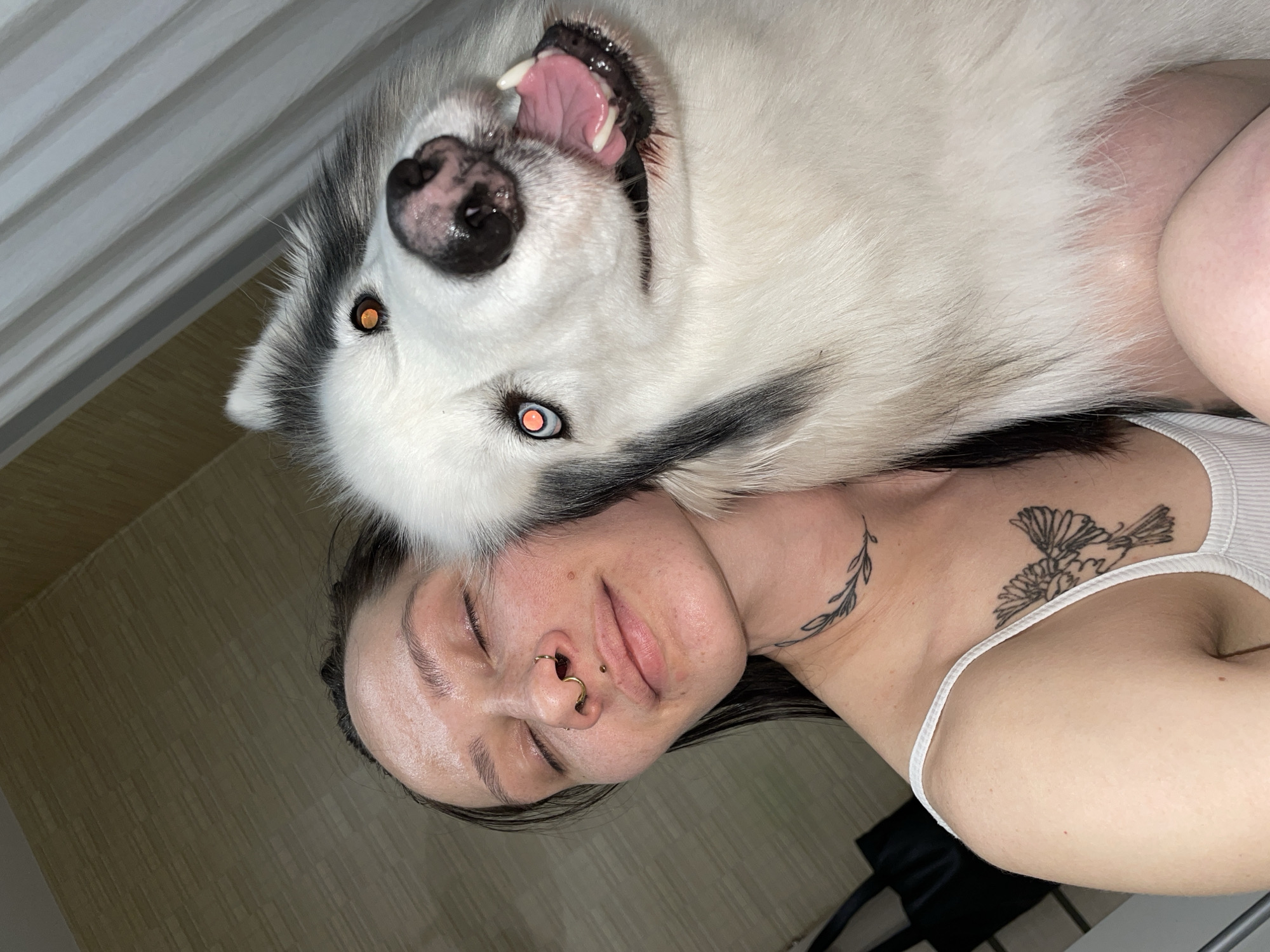 A white and gray Siberian Husky dog is positioned upside down on top of a light-skinned person. The dog's mouth is open, revealing its teeth and pink tongue. The person has closed eyes, a nose ring in the left nostril, and a piercing above the lip on the right side. Two tattoos are visible on the person's upper chest and neck. The scene is lit with artificial light, and the background shows a wooden floor and a white wall. There is no evidence in the image to confirm that it was taken in Izhevsk, Russia.