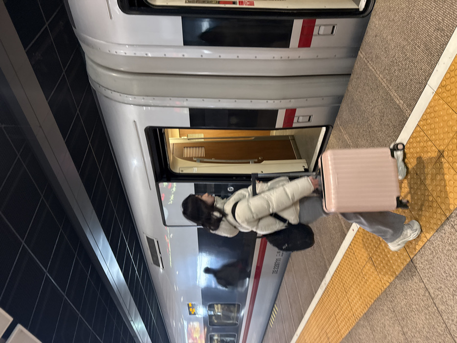 An individual, appearing female, with dark hair, is depicted walking left-to-right across a railway platform in Fengtai District, China. The person wears a cream-colored puffer jacket, grey trousers, and white athletic shoes, pulling a pink wheeled suitcase with their right hand and carrying a black backpack on their left shoulder. They are moving adjacent to a stationary white and black high-speed train, identifiable by the markings "ZE 220711" and partial Chinese characters "三明" on its side. An open train door reveals an illuminated interior corridor. The platform consists of light-colored concrete with a prominent yellow tactile warning strip running parallel to the train. The environment is an indoor railway station, characterized by a dark, grid-patterned ceiling equipped with integrated artificial lighting fixtures.
