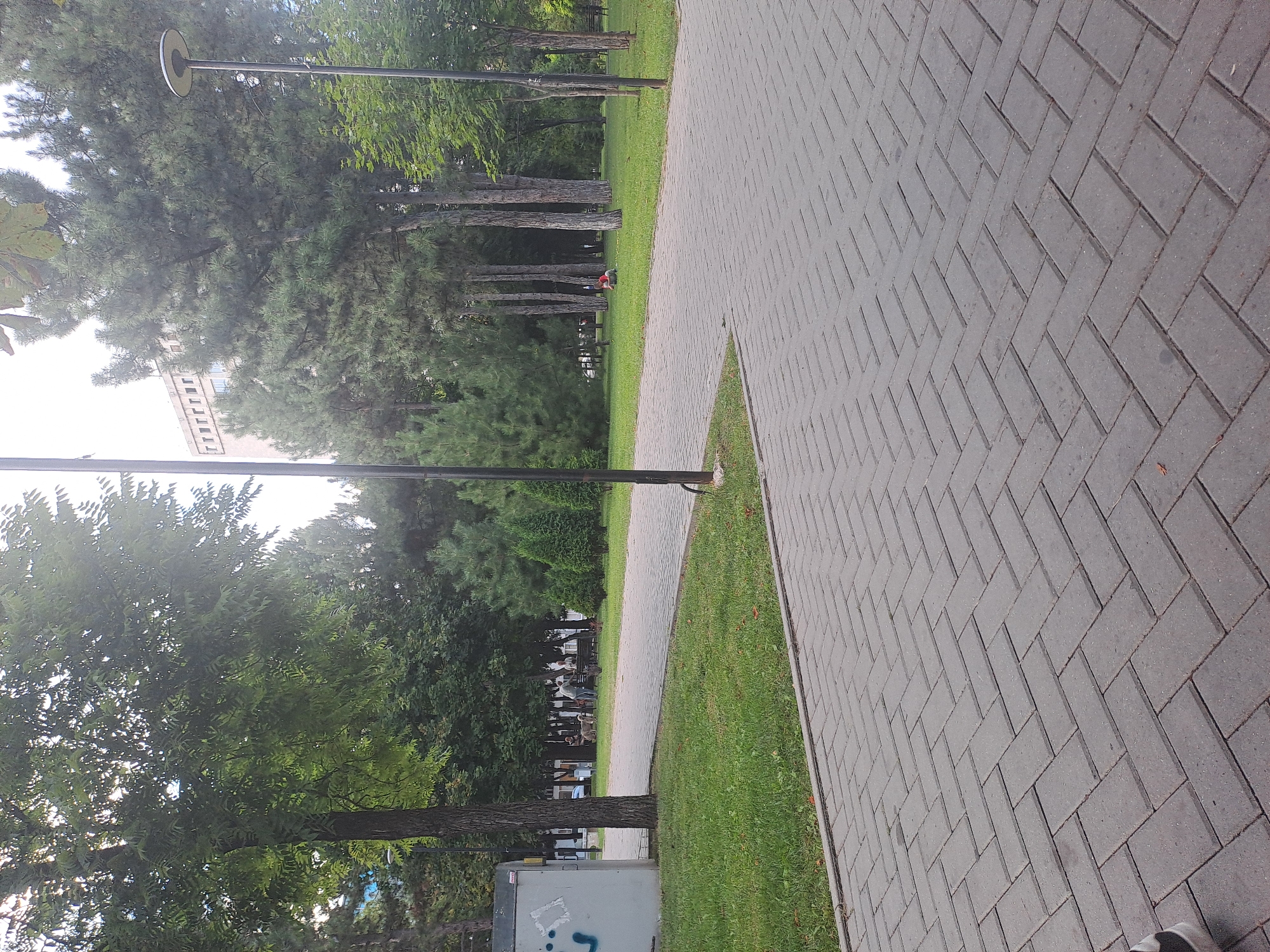 The image depicts a park scene with a paved walkway in the foreground, leading into a grassy area with trees. On the left, a utility box with graffiti is visible. Several people are scattered throughout the park, some sitting on benches and others interacting with dogs. In the background, a multi-story building can be seen through the trees. The park appears to be a public space designed for recreation and relaxation. The image is taken on a slightly overcast day, with natural light illuminating the scene. The overall atmosphere is peaceful and serene, suggesting a typical day in a city park.