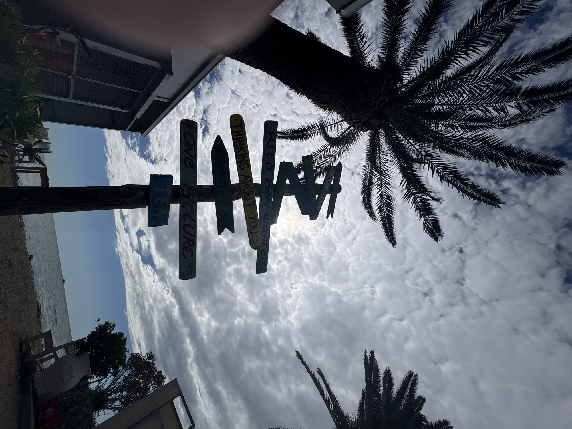 The image, taken from a low angle, features a whimsical wooden signpost set against a cloudy sky, with prominent palm trees and a distant view of the sea and coastline. The main subject is a rustic signpost with numerous horizontally attached, colorful boards pointing in different directions.
Visible text on the signs includes: "TEA" on a blue sign, "TREASURE" (partially visible), "ONE FICE" (likely "OFFICE"), "THINKING ABOUT YOU" on a yellow board, "REGGAE BAR" on a green board, "WANTED!" on another yellow board, and "BEACH" on a white board. Other boards have less legible text, but contribute to the overall directional and themed signage.
Two palm trees are silhouetted against the bright sky. A large palm trunk and its fronds dominate the upper right portion of the image, while fronds from another palm tree are visible in the lower right. The sky is largely covered with dense, white and grey cumulus clouds, suggesting a bright, overcast daytime.
On the left side, a tranquil light blue sea meets a shoreline that appears to be sandy or pebbly. Outdoor seating, including white chairs and a table, are visible near the water, surrounded by green foliage. The corner of a building, showing a roof and a ventilation unit, is present in the top left.
The scene conveys a relaxed, tropical, or Mediterranean beachside atmosphere, consistent with a bar or cafe setting in Bar, Montenegro. There is no specific activity or event depicted, but rather a picturesque snapshot of the location.
