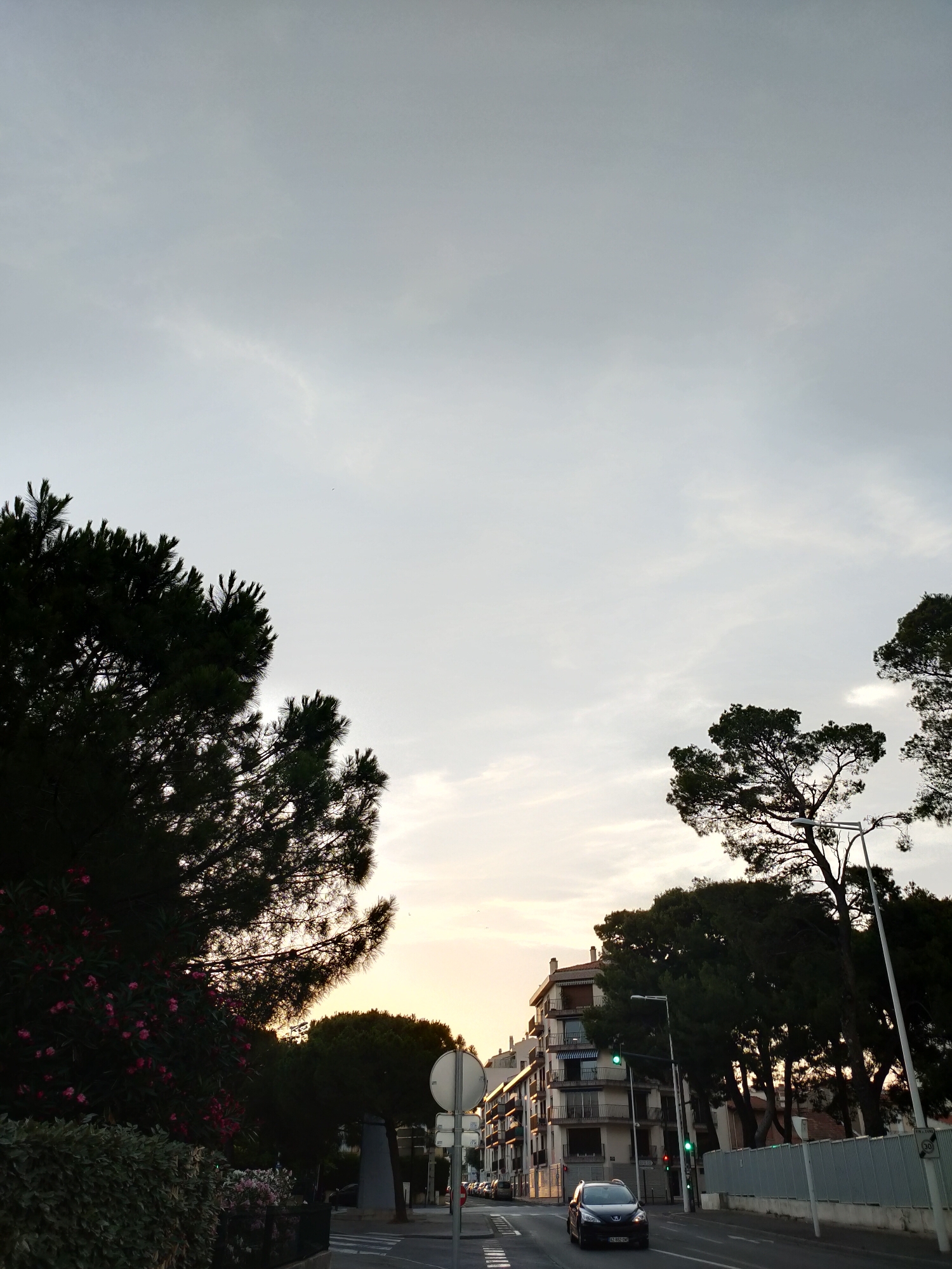This image captures a street scene in Perpignan, France, during what appears to be dusk or dawn. The sky is overcast and a pale gray, with subtle hints of warm light near the horizon, suggesting the sun is either rising or setting. Tall trees with dark green foliage line the street, creating a silhouette against the sky. Some of the trees have vibrant pink flowers blooming at their base, adding a touch of color to the scene.
In the mid-ground, several apartment buildings are visible. They are multi-story structures with balconies and windows, typical of European urban architecture. A streetlamp with a green light is illuminated, indicating that traffic signals are functioning.
A dark-colored car is driving down the road, its headlights off. The road surface is wet, suggesting recent rain or the presence of dew. A white circular road sign is partially visible on the right side of the image, along with other traffic signs. The overall mood of the image is calm and slightly subdued, with the soft light and the presence of trees and buildings creating a sense of a quiet urban environment. The text "30" is visible on a circular sign, indicating a speed limit.