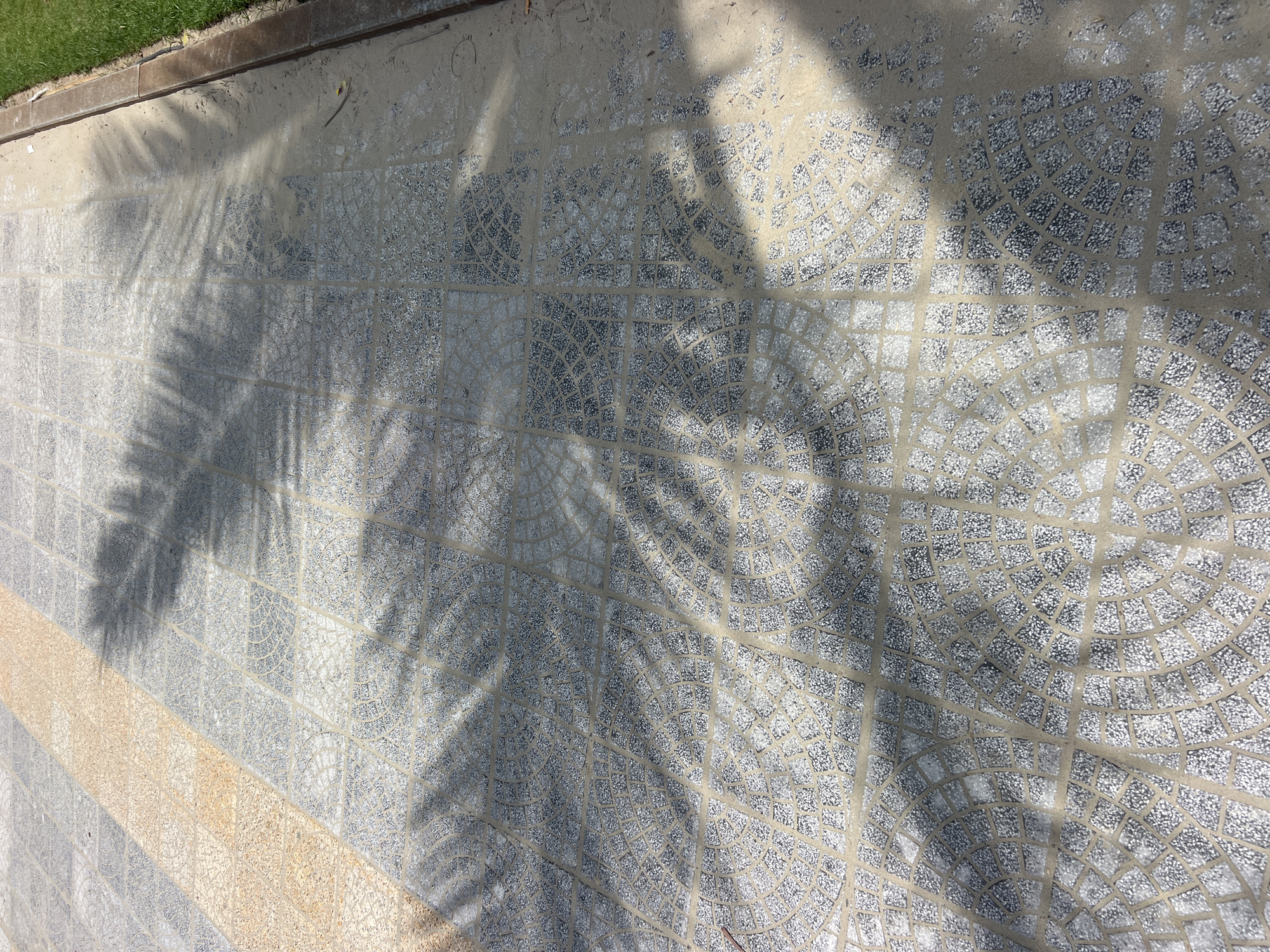 The image shows a paved surface with a repeating pattern of square tiles. Some of the tiles are light brown, while others are gray with a circular pattern of small stones. Palm tree shadows are cast across the pavement, indicating an outdoor setting. The pavement appears to be part of a walkway or patio, with a strip of grass and a concrete border visible on the right side of the image. There is some sand or dirt scattered on the pavement. The image is taken from a high angle, looking down at the ground. There are no people or animals visible in the image. The location is unknown.