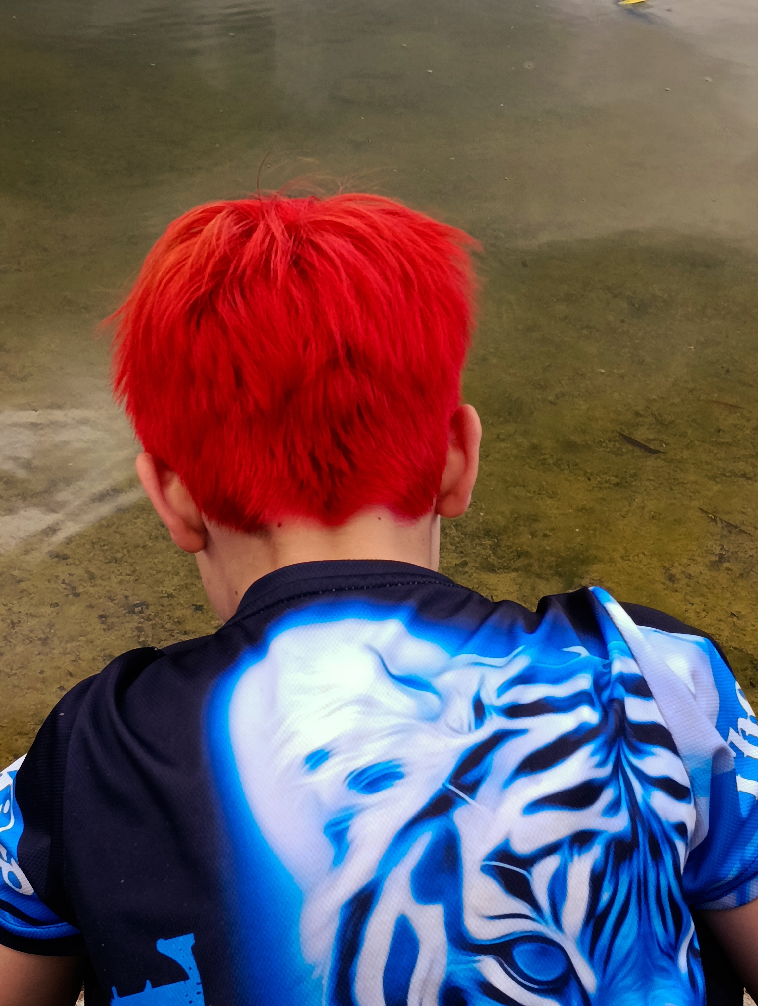 The image shows the back of a person's head and shoulders. The person has bright red, spiky hair and is wearing a dark blue shirt with a large, stylized white and blue tiger face design on the back. The background is a body of murky, greenish water. The location in Brovary, Ukraine is not discernible from the image.