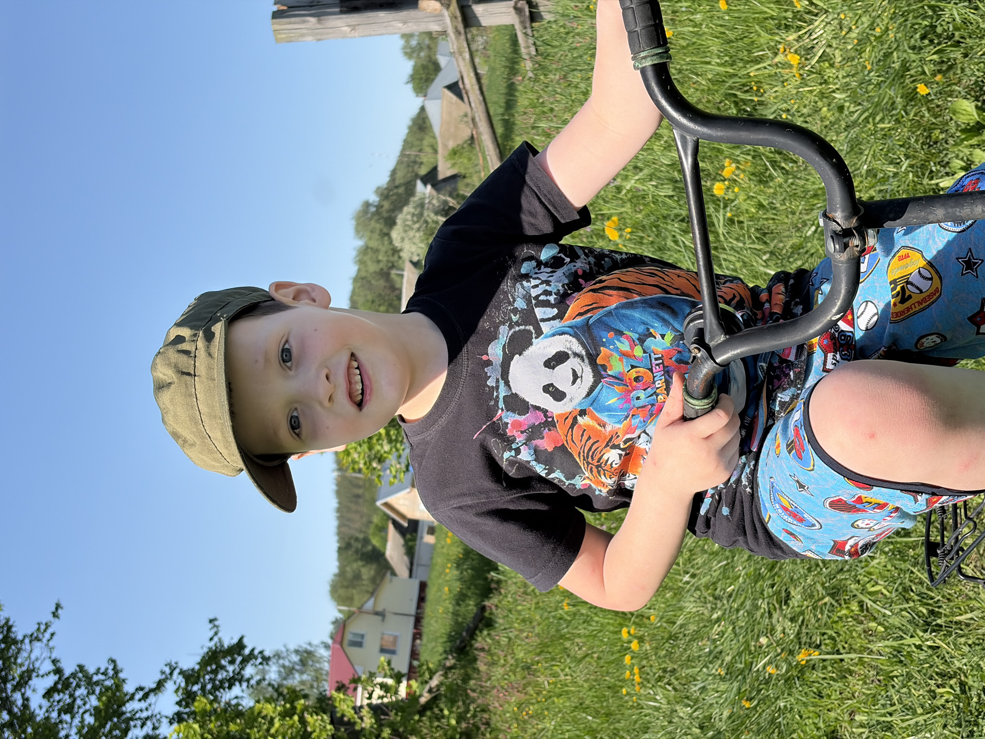 A young boy is outside on a sunny day in what appears to be a grassy field. He is wearing a cap, a black t-shirt with a graphic design featuring a panda and a tiger, and blue shorts with baseball-themed cartoon designs. He is holding onto the handlebars of what appears to be a tricycle or similar wheeled vehicle. In the background, there are houses, trees, and a blue sky, indicative of a residential or rural setting. The scene suggests a leisurely, playful activity in a natural outdoor environment. The location could be Кемуль, Russia, given the prompt's specification.