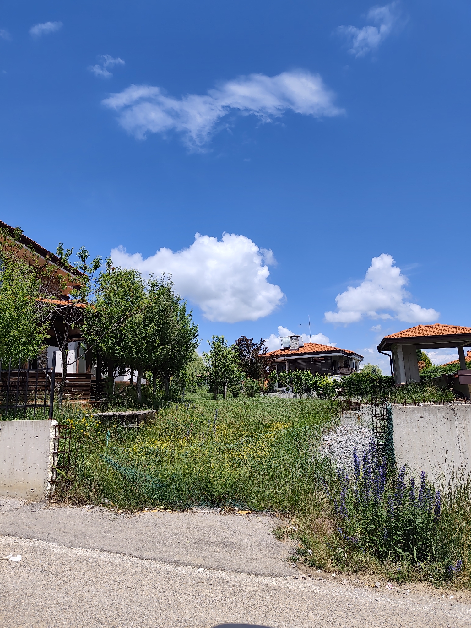 The image depicts a residential area in Kladnitsa, Bulgaria, under a bright blue sky with scattered white cumulus clouds. In the foreground, a paved road runs along the bottom edge. Adjacent to the road is an overgrown area of tall grass and wildflowers, with a concrete barrier on the right side. Behind the barrier, a chain-link fence separates the road from a yard.
In the yard, several houses are visible. The house on the left is a two-story structure with brown wooden siding and a red tile roof. It has a covered porch with wooden posts. Mature green trees are in front of this house. To the right of this house, there is another house with a similar red tile roof and brown wooden elements, and beyond that, a covered outdoor structure with a red tile roof. The yard is characterized by lush green grass and various trees and bushes. There is a small pile of rocks and debris near the concrete barrier on the right. The scene suggests a rural or semi-rural setting. No people are present in the image.