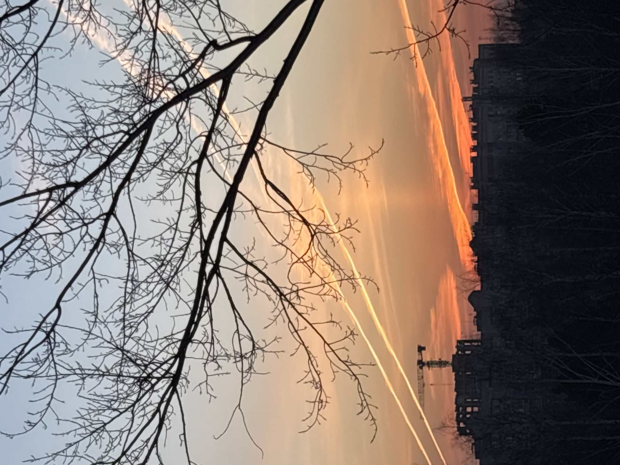 The image captures a cityscape in Chaikovsky, Russia, during what appears to be a sunset or sunrise. The scene is dominated by bare tree branches in the foreground, silhouetted against the sky. Contrails stretch across the sky, which ranges from light blue to orange and reddish hues. In the midground, there are buildings and a crane visible, suggesting an urban area with ongoing construction. The background is dark, likely showing more buildings and trees.