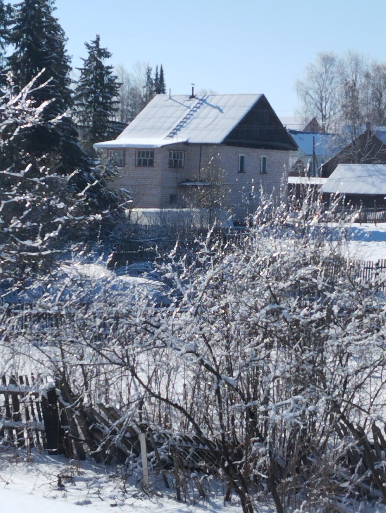 The image depicts a snowy landscape in what appears to be a rural or suburban setting. A two-story brick house with a metal roof and a ladder leading to the roof is visible in the background. The foreground is filled with snow-covered bushes and a dilapidated wooden fence. Tall pine trees stand to the left of the house. Other houses and trees are visible in the distance under a clear, light blue sky. The scene is well-lit with sunlight reflecting off the snow. Based on the prompt's information, the location is Krasnogorskoye, Russia. There are no people or animals visible in the image. The primary subjects are the house, the snowy environment, and the vegetation.