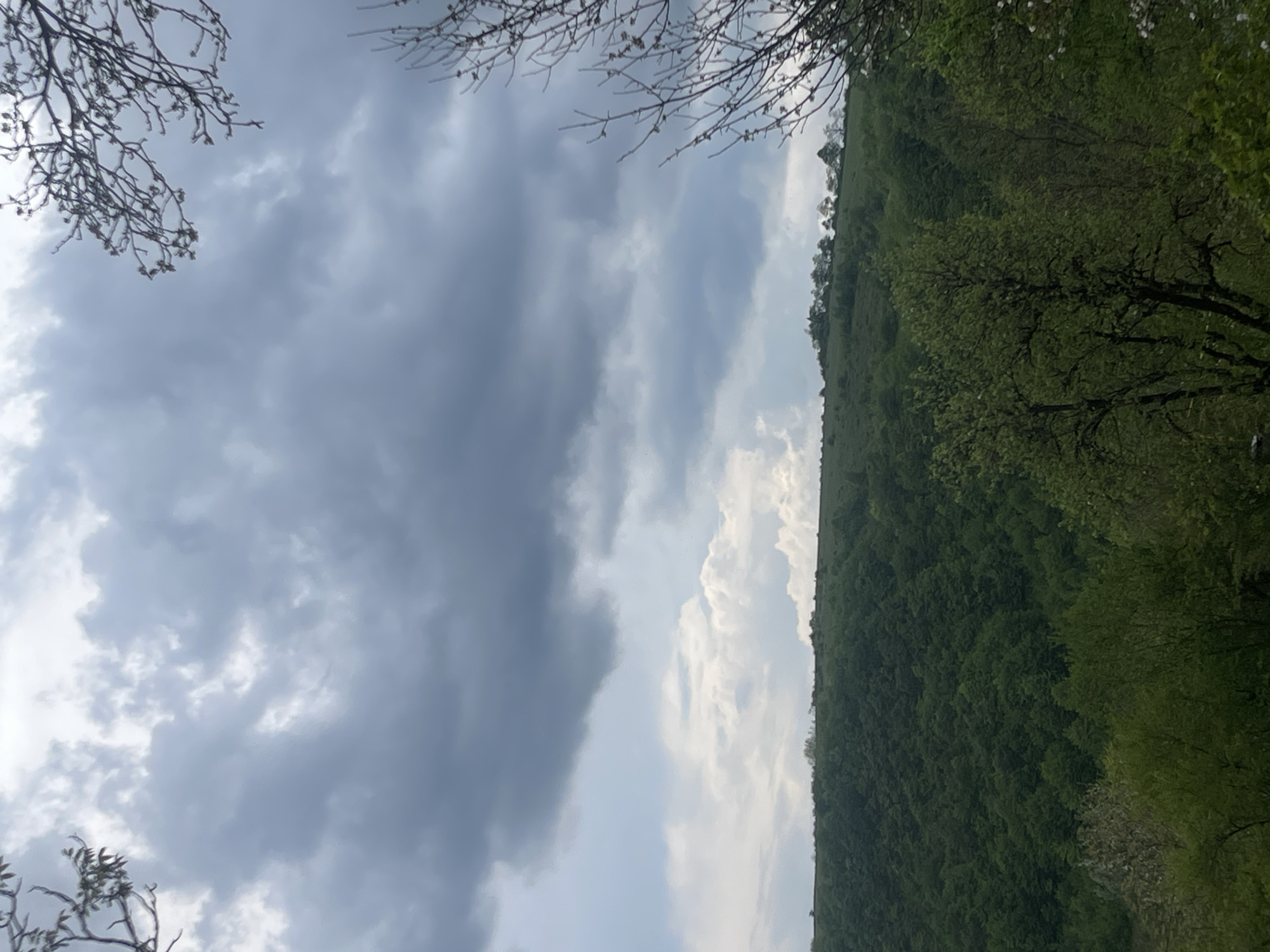 The image shows a landscape in Chiatura, Georgia, with a hill covered in dense green trees on the right side. The left side of the image is dominated by a sky filled with various types of clouds, ranging from dark and heavy to light and airy. Bare tree branches are visible in the top corners of the frame. The photograph is taken from a low angle, possibly from the ground. The light suggests it is daytime.