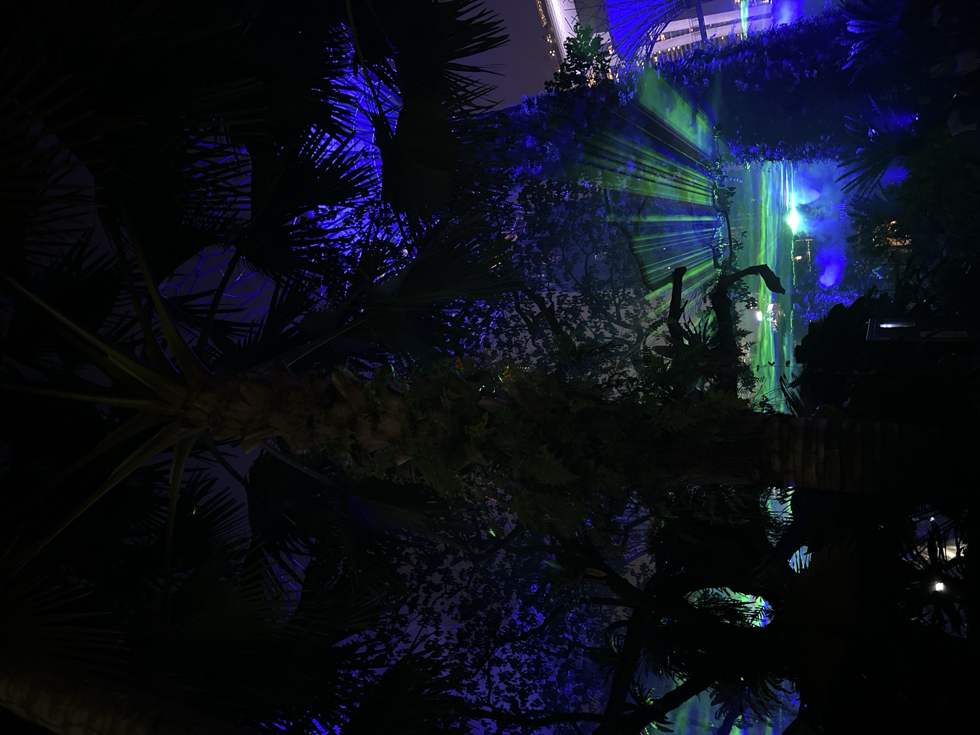 This is a nighttime photograph taken at Gardens by the Bay in Singapore. The scene is dominated by dark silhouettes of palm trees and lush foliage, illuminated by vibrant blue and green laser lights projected from an unseen source. The lights create a dramatic, almost ethereal atmosphere, casting beams and rays across the leaves and through the mist. In the background, the faint outlines of modern architecture, likely part of the Gardens by the Bay structures like the Supertree Grove or the domes, are visible, softened by the low light and atmospheric effects. There are no people clearly visible in the image. The overall impression is of a technologically enhanced natural environment at night.