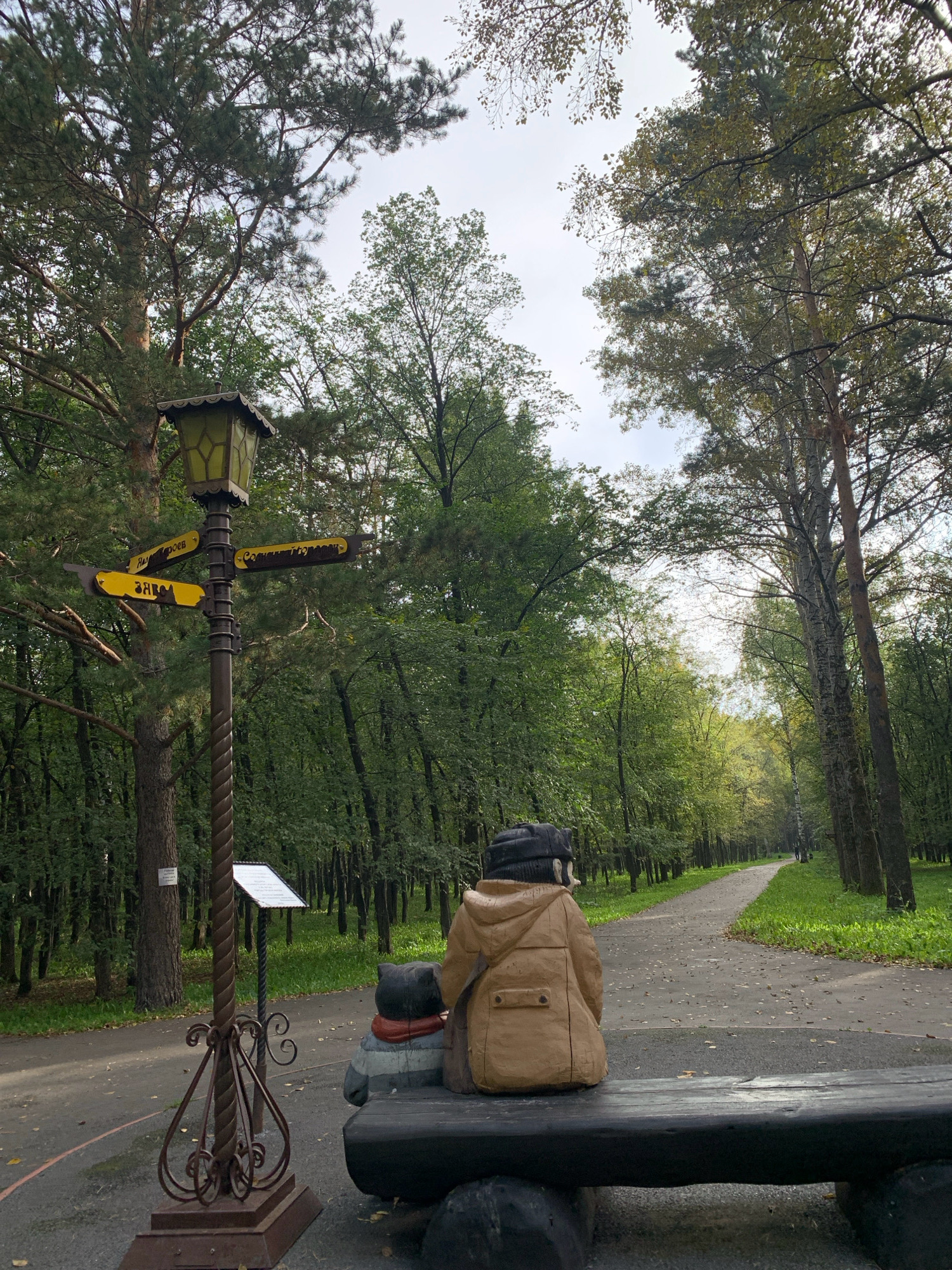 The image captures a serene park scene with a paved path winding through a lush forest. Dominating the foreground is a rustic wooden bench with two figures seated on it, viewed from behind. To the left, a stylized metal lamppost stands tall, adorned with a decorative base and a lantern at the top. Several yellow directional signs are attached to the lamppost, with Russian text indicating different points of interest. A small white sign is also affixed to the lamppost. The figures on the bench appear to be wooden sculptures, one resembling a cat and the other a person wearing a coat and hat. The environment is characterized by mature trees with green foliage, suggesting a warm season. The path is covered in fallen leaves, hinting at autumn. The overall impression is one of tranquility and nature. This scene is located in the "Zarechye" Park in Prokopyevsk, Russia, a public space known for its natural beauty and recreational opportunities.