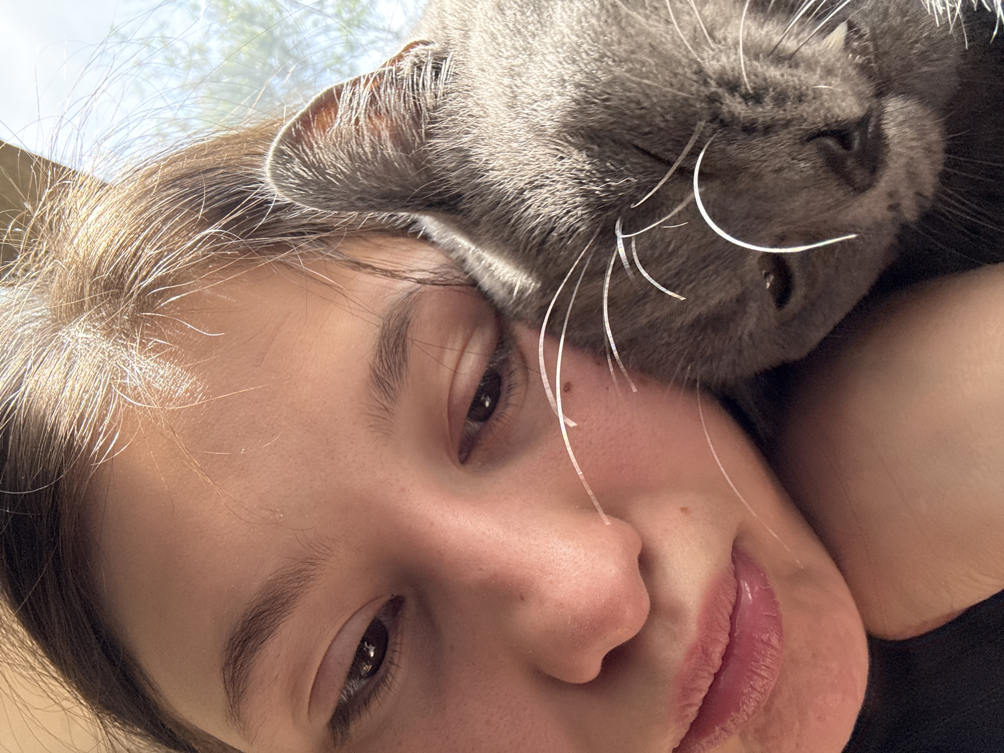 A close-up, slightly angled, color photograph shows a young woman with a gray cat resting on her head. The woman has light skin, brown eyes, and dark brown hair. Her lips are pink and slightly parted. The gray cat is positioned with its head resting on the woman's forehead and part of her hair. The cat's gray fur is visible, as are its whiskers. The background is light, suggesting an outdoor setting. There is no indication of the location being in the city of Фоки, Russia.