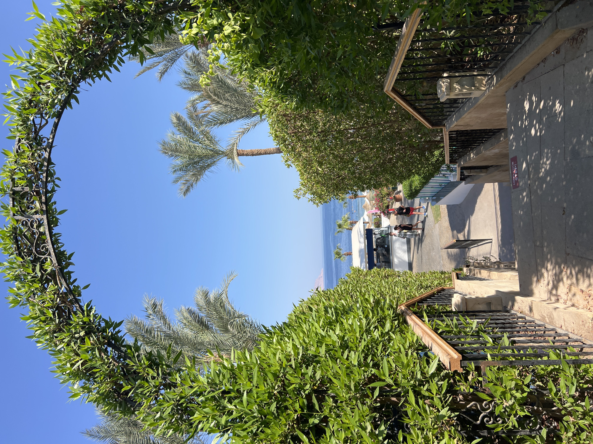 The image depicts a pathway leading down a set of stairs, framed by an arched trellis covered in green foliage. Beyond the trellis, palm trees and lush greenery are visible against a clear blue sky. In the middle ground, a beach area with umbrellas, a building resembling a bar or cafe, and several people are present. The sea stretches to the horizon, with a distant landmass visible on the left side of the frame. The architectural style and vegetation suggest a resort setting in a coastal area. This scene is consistent with locations found in Sharm El Sheikh, Egypt, known for its resort hotels and beaches along the Red Sea. The overall impression is one of a sunny, tropical resort environment.