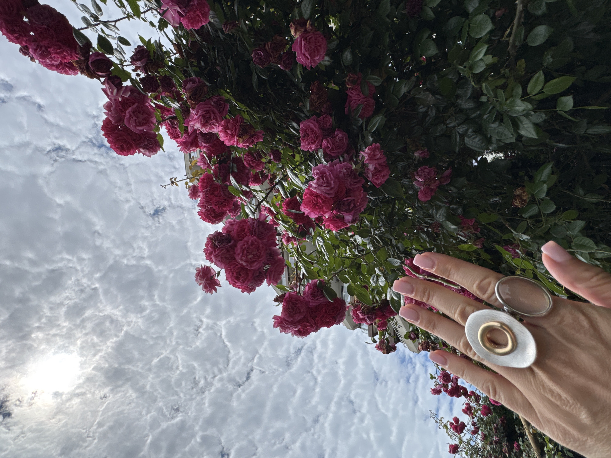 An overhead shot captures a hand adorned with two large rings, one silver with a gold-toned circular cutout and the other a silver oval, positioned in the foreground. The hand, with neatly manicured pink nails, is extended towards a dense cluster of vibrant pink roses and green foliage. In the background, a modern building with rounded balconies is visible, and the sky is filled with dramatic, textured white clouds. The sun is partially obscured by the clouds, creating a bright, diffused light. The scene appears to be an outdoor setting, possibly a garden or balcony, within the city of Sochi, Russia.