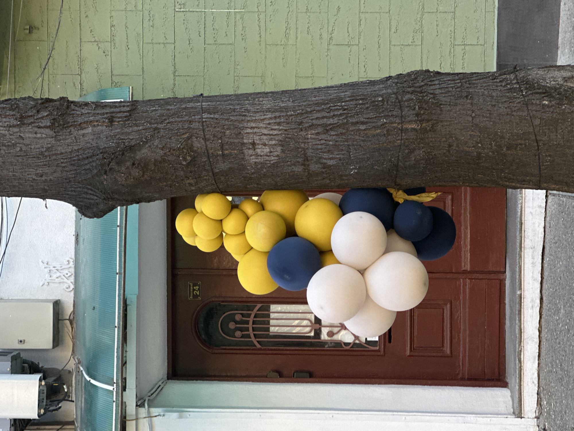 The image shows a street scene in Stara Zagora, Bulgaria. A large tree branch extends horizontally across the frame in the center, obscuring the upper portion of a building facade. A cluster of yellow, white, and blue balloons is tied to the branch, hanging in front of a brown wooden door. The door features an ornate metal design and the number "24" on a small plaque. To the left, a wall with a light green corrugated covering, mounted on the left wall is an electrical box and some other utilities. The sidewalk is visible on the right side of the frame.