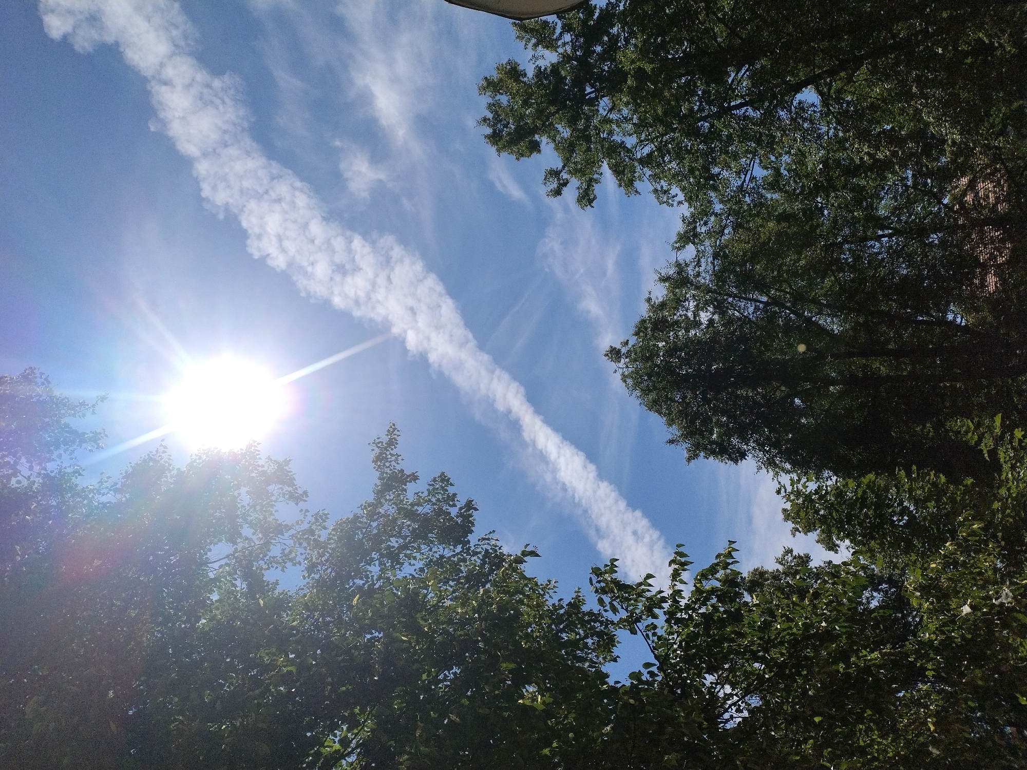 The image shows a view looking up at a bright sun with visible rays, positioned in the upper center of the frame. A contrail or cloud formation extends diagonally from the upper right to the lower left, cutting across the blue sky. Lush green trees with dense foliage frame the scene from the left, bottom, and right sides. The sun's glare is strong, obscuring some of the detail in the sky and trees. The overall impression is of a sunny day with a clear blue sky, partially obscured by trees and a prominent cloud formation. There are no people or specific landmarks visible that would indicate a particular location within the city of Písek, Czechia. The environment appears to be outdoors, likely a park or residential area with mature trees.
