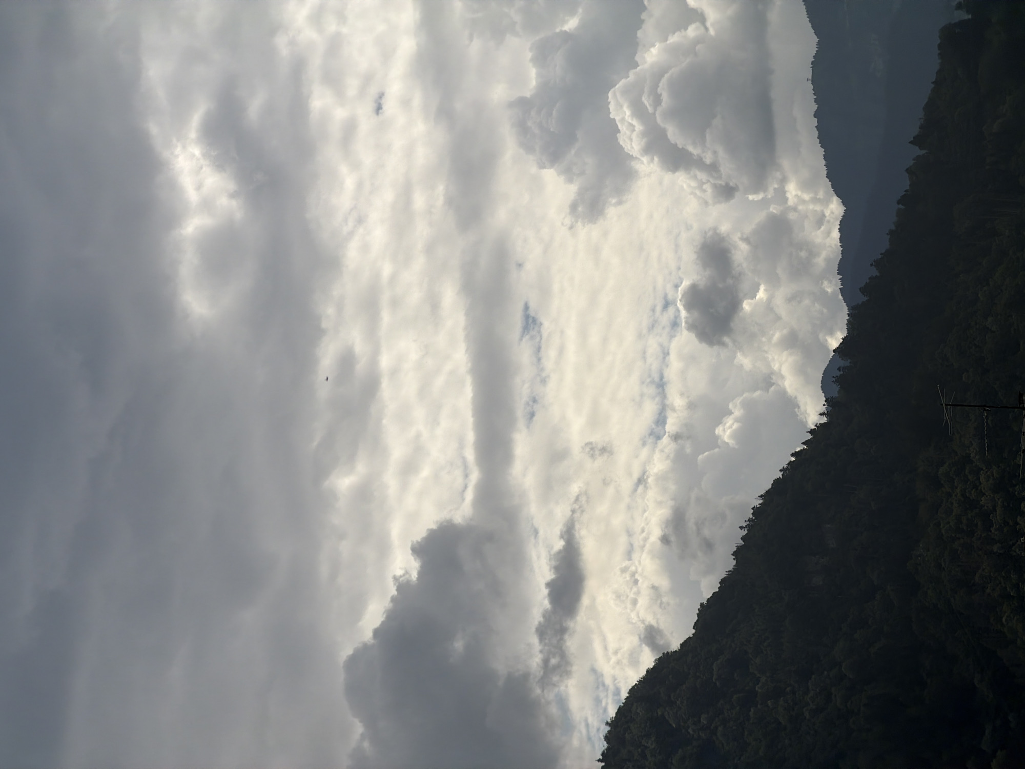 This is a vertical, landscape-oriented photograph of a cloudy sky above a tree-covered mountain slope. The sky is filled with various types of clouds, ranging from dark, heavy storm clouds on the left to lighter, brighter clouds illuminated by sunlight on the right. The mountain slope on the right side of the frame is densely forested and appears dark, suggesting it is in shadow or that the image was taken in the late afternoon or early evening. There is a faint, dark silhouette of a distant bird visible in the upper left portion of the sky. A single, dark utility pole with some wires is visible on the far right side of the mountain. The overall mood is dramatic due to the contrast between the dark clouds and the illuminated sky, and the imposing presence of the mountain. The time of day appears to be late afternoon or early evening, with the sun possibly setting behind the clouds or the mountains. There is no visible text in the image.