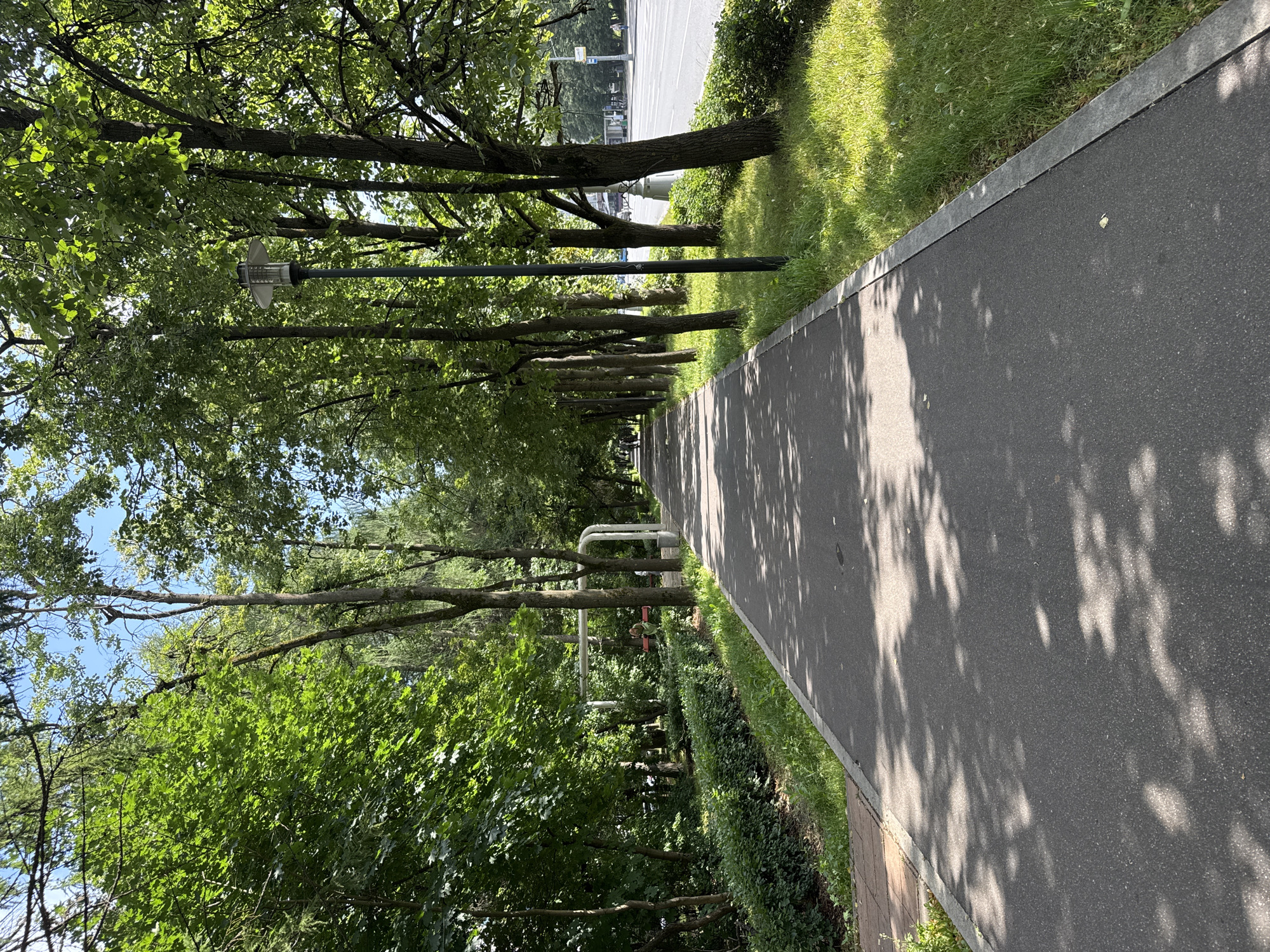 The image depicts a tree-lined pedestrian pathway in the city of Zelenograd, Russia. The pathway is paved with asphalt and is bordered by lush green grass and manicured hedges on the left, and a grassy area with trees and a street on the right. Sunlight filters through the dense canopy of trees, casting dappled shadows on the pathway. A single lamppost stands along the path, its modern design contrasting with the natural surroundings. In the background, a street with vehicular traffic and pedestrians can be observed, suggesting an urban park or residential area. A person can be seen in the distance walking on the path. The overall scene conveys a sense of tranquility and natural beauty within an urban setting.
