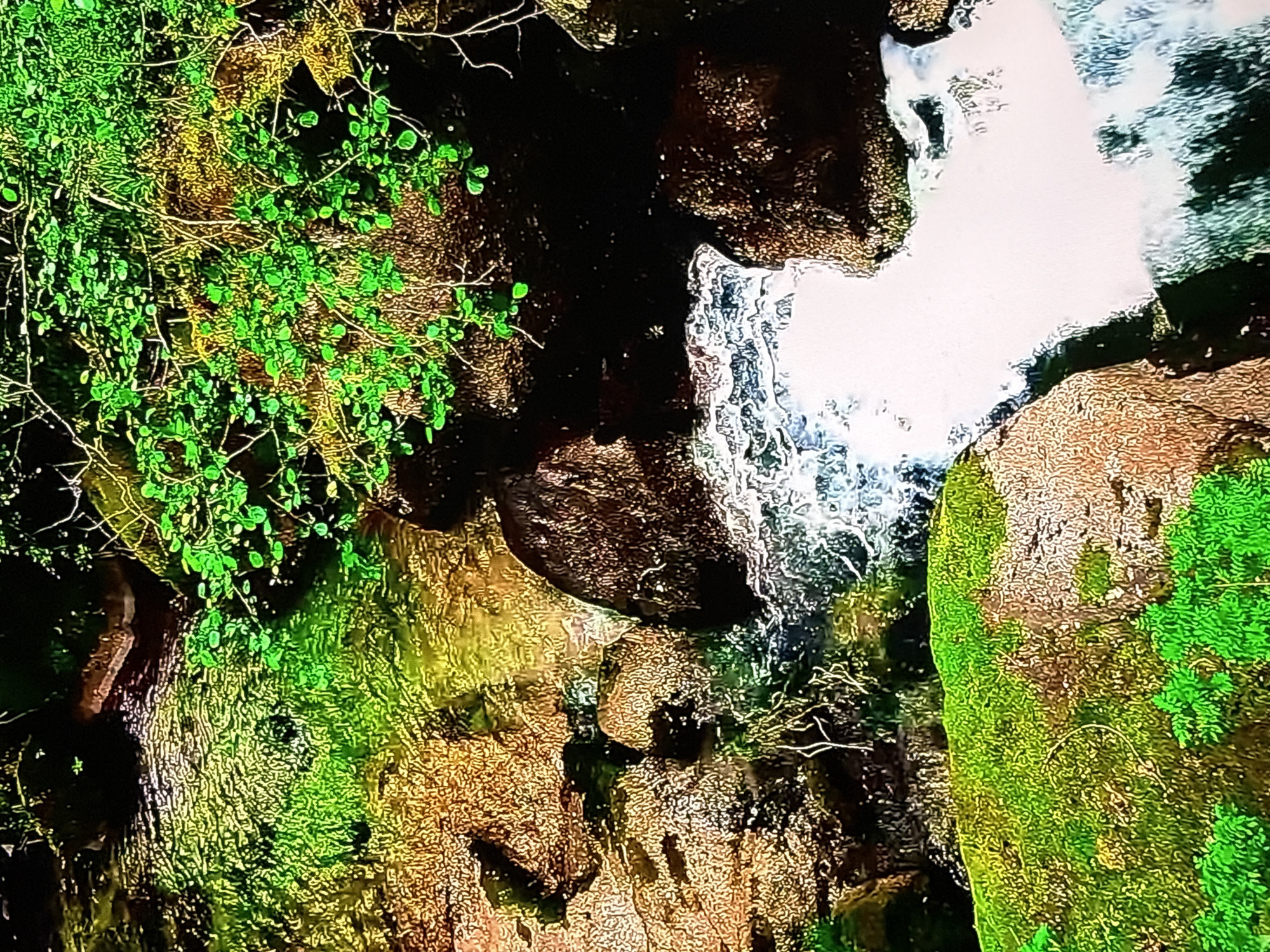 The image depicts a natural scene of a cascading stream or waterfall flowing over moss-covered rocks and rocks with earthy tones. Lush green vegetation, including small leafy plants and vines, grows abundantly on the rocks and around the water. The water is white and foamy as it descends, creating a dynamic visual. The overall impression is one of a serene and vibrant natural environment. There are no people or man-made structures visible in the image, suggesting a remote or natural setting. The location in Krasnokamsk, Russia, is not discernable from the visual information provided in the image.