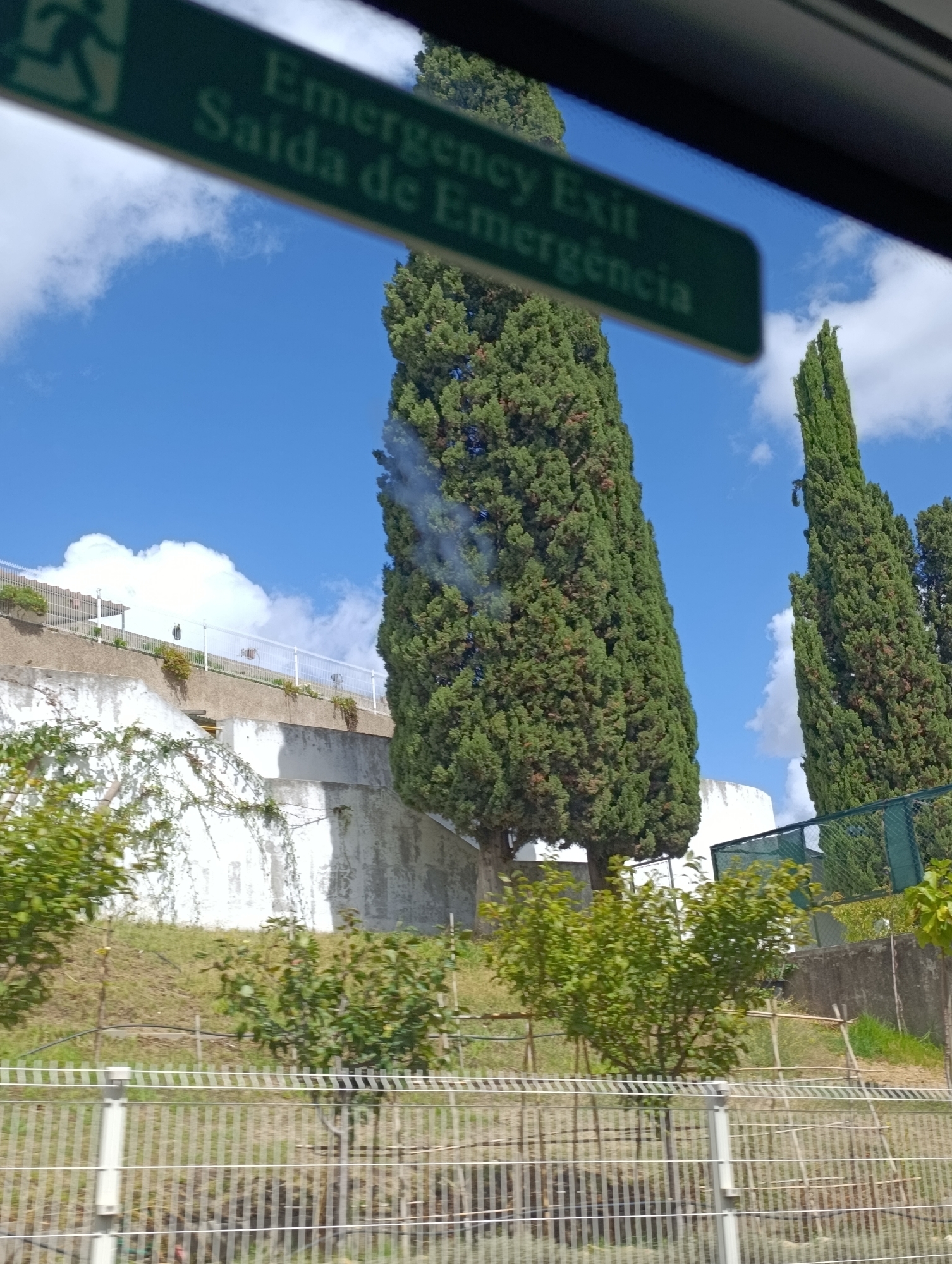 The image captures a bright, sunny day with a clear blue sky dotted with white clouds. In the foreground, a metallic fence runs horizontally across the frame, separating the viewer from a grassy slope. Several small trees and bushes are planted on this slope.
Dominating the mid-ground are tall, slender cypress trees, their dark green foliage contrasting with the bright sky. Behind the cypress trees, a white, curved wall is visible, possibly part of a building or structure.
At the top of the image, a green sign with white lettering is partially visible. The text on the sign reads "Emergency Exit" and "Saída de Emergência", indicating an emergency exit route in both English and Portuguese. This suggests the location is likely a public place or transport hub.
The overall scene is one of an outdoor environment, possibly a park or a hillside area within a city, given the presence of the sign and the well-maintained fencing and vegetation. The angle of the shot, looking up towards the sky and the sign, suggests the photograph may have been taken from a vehicle or a slightly elevated position.
While the image does not explicitly show the city of Setúbal, Portugal, the bilingual signage "Saída de Emergência" strongly suggests a Portuguese-speaking location. Setúbal is a significant city in Portugal, and such signage would be common there. The presence of cypress trees is also characteristic of the Mediterranean climate found in southern Portugal.
