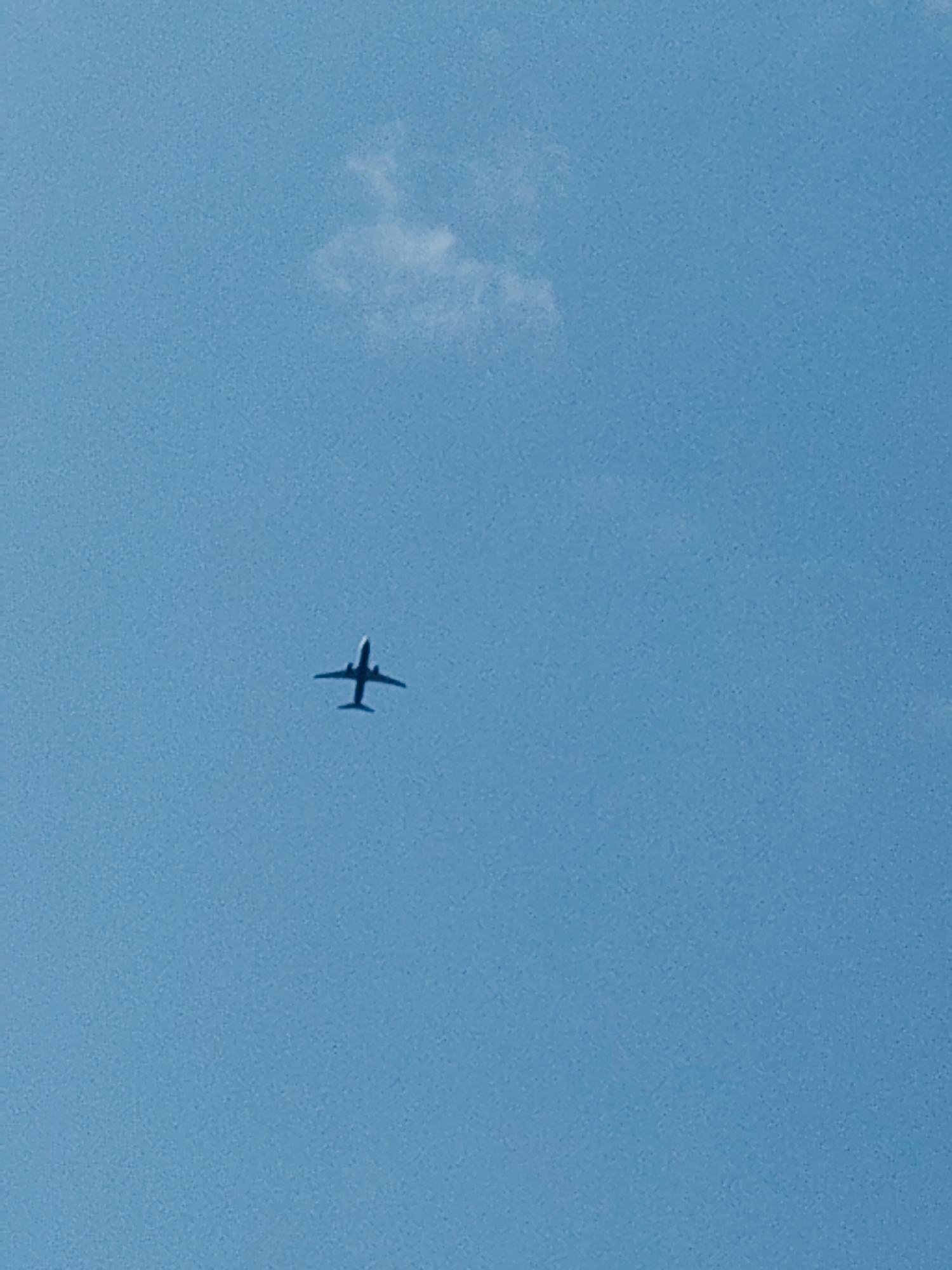 The media file shows a silhouette of a passenger airplane flying across a clear blue sky. A small, wispy white cloud is visible in the upper left portion of the image. The airplane is positioned in the lower center of the frame, with its wings outstretched and its body clearly defined against the sky. The image appears to have been taken during the daytime, with bright daylight casting a clear view of the sky. There is no visible text in the media file. The location context is Łomna-Las, Poland, which suggests the photograph was taken in that region. The scene is serene and common, depicting a typical aerial view of a plane in flight.